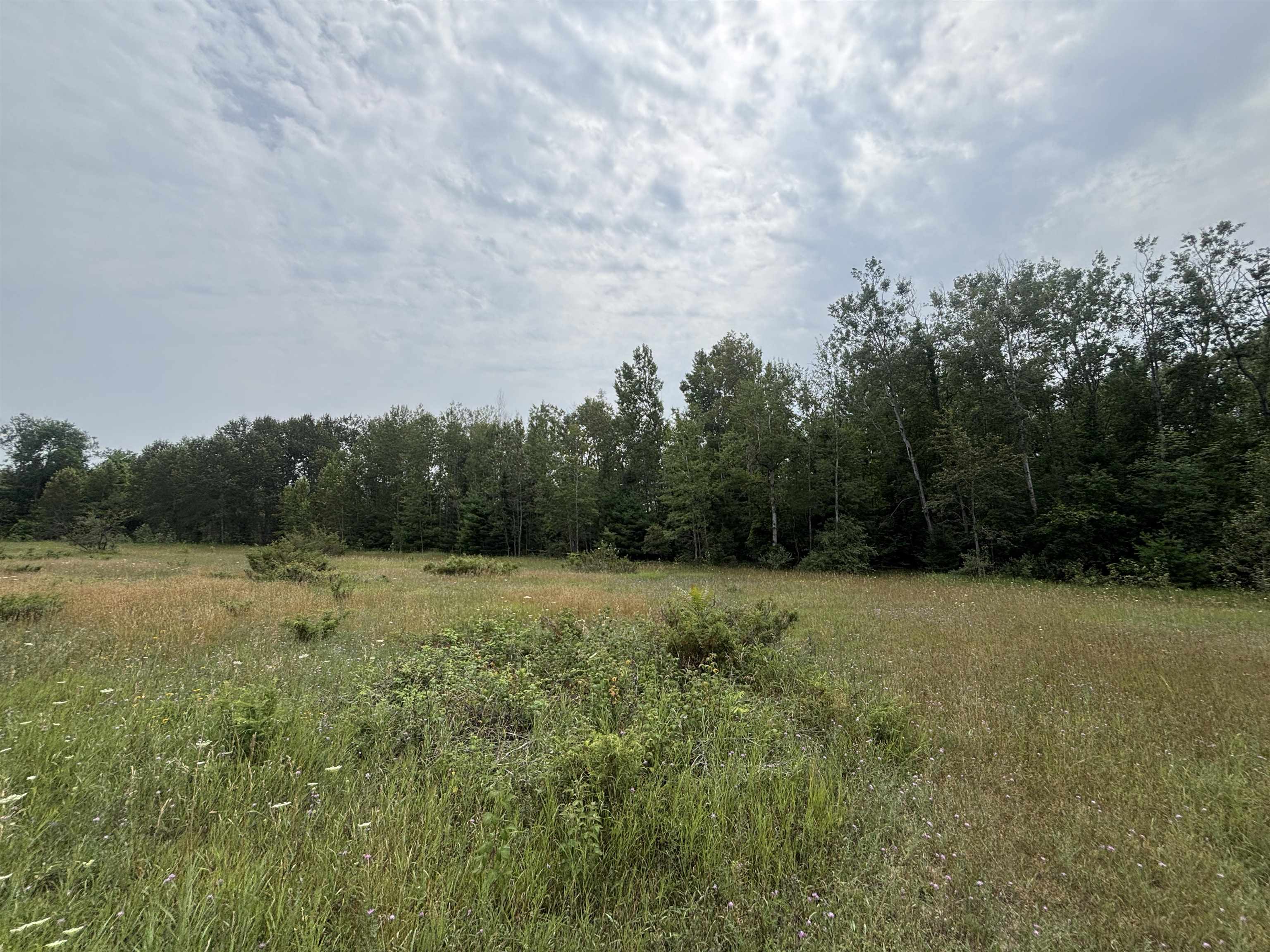 0 Lore Road Property Photo 17