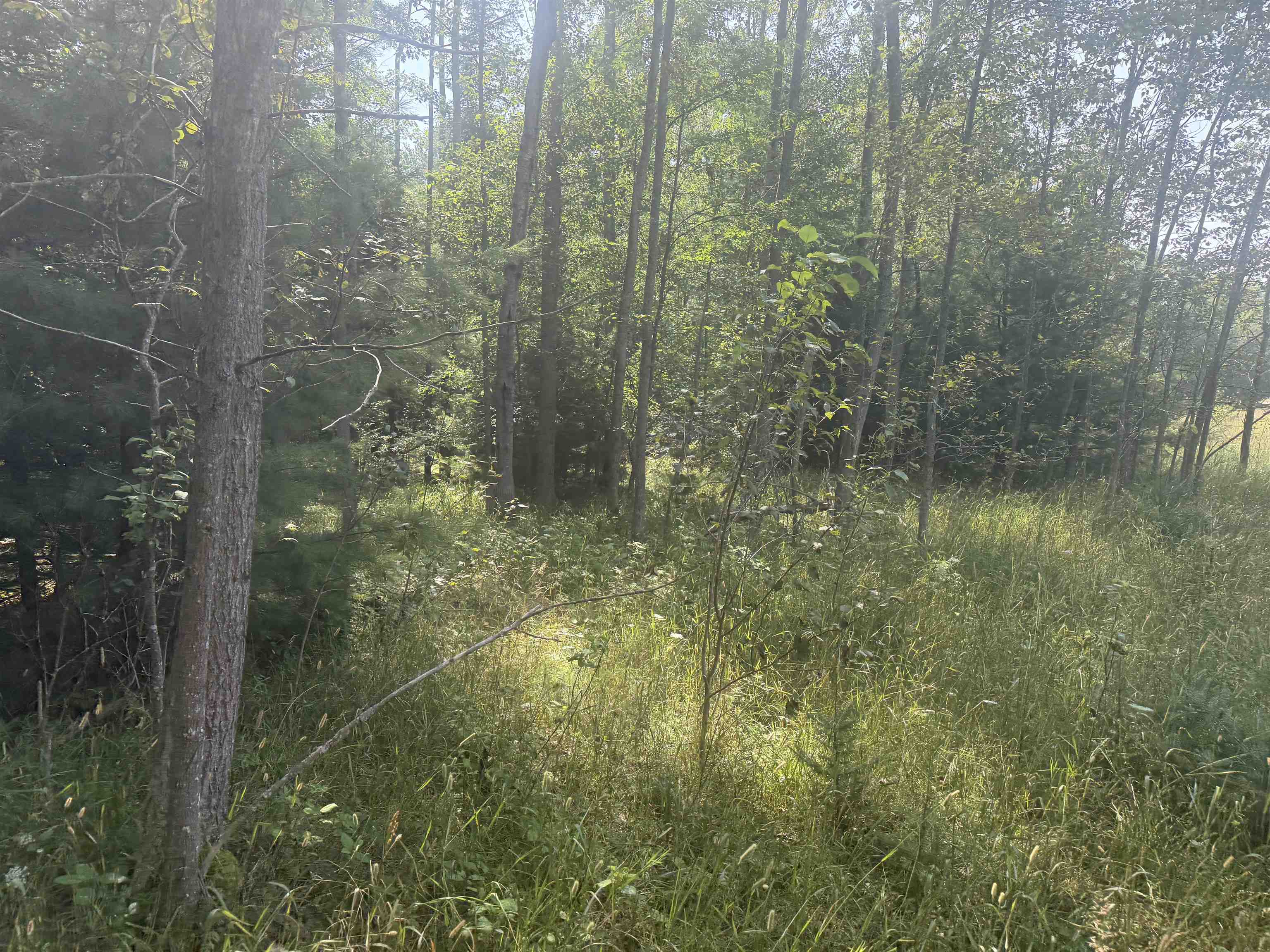 0 Lore Road Property Photo 27