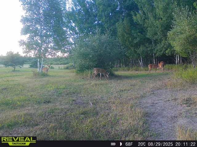 668 S Nelson Property Photo 29