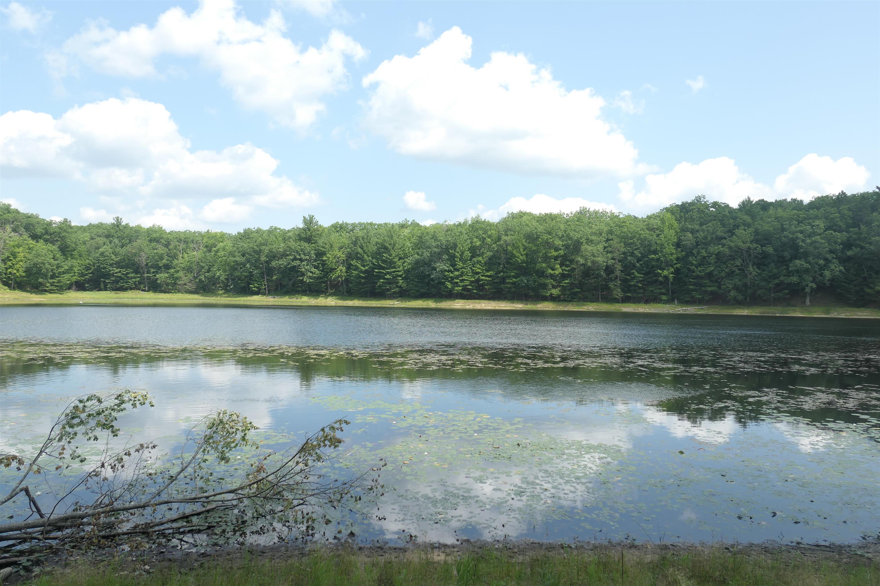 3420 Bungo Trail Property Photo 3