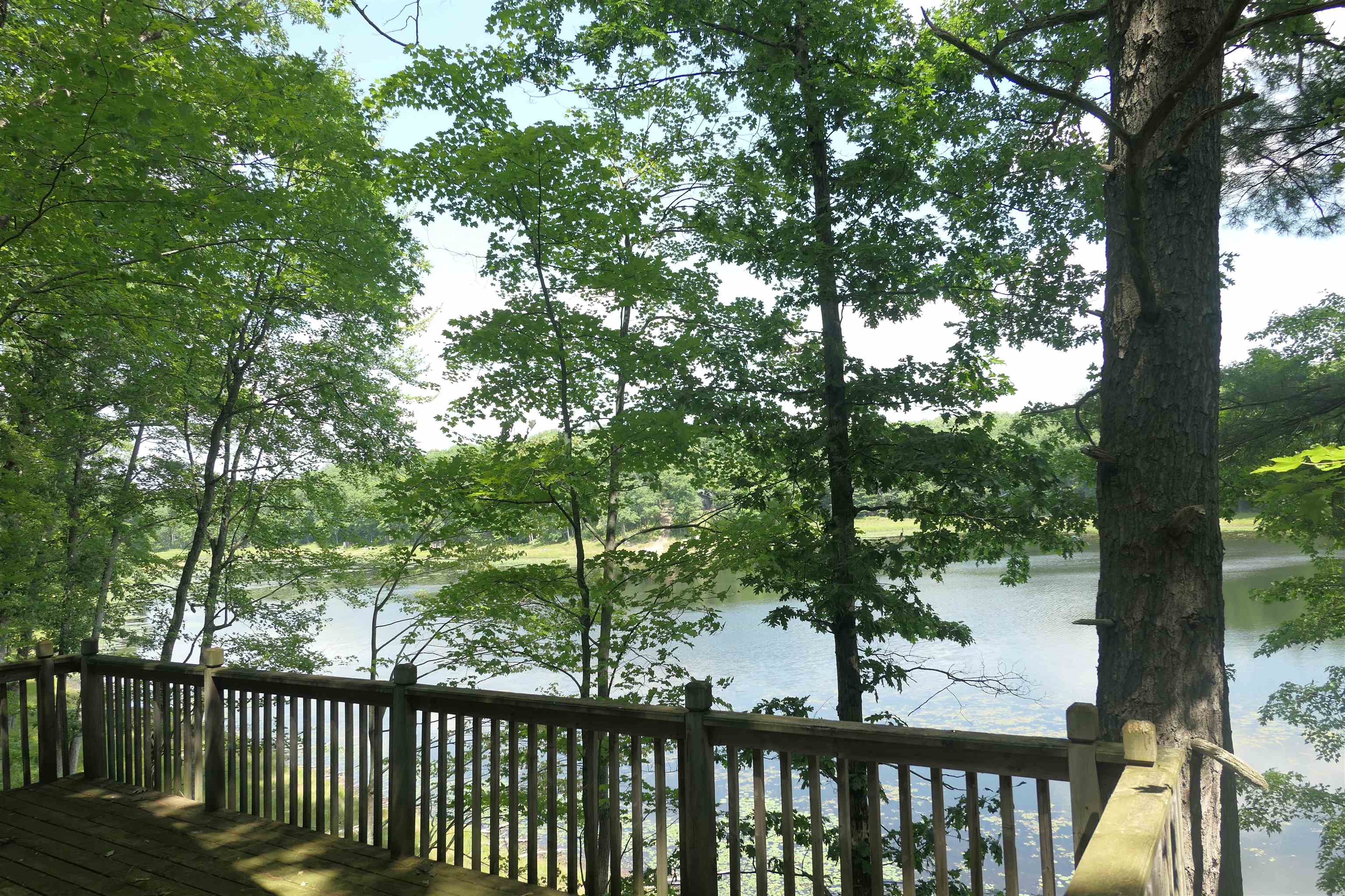 3420 Bungo Trail Property Photo 34