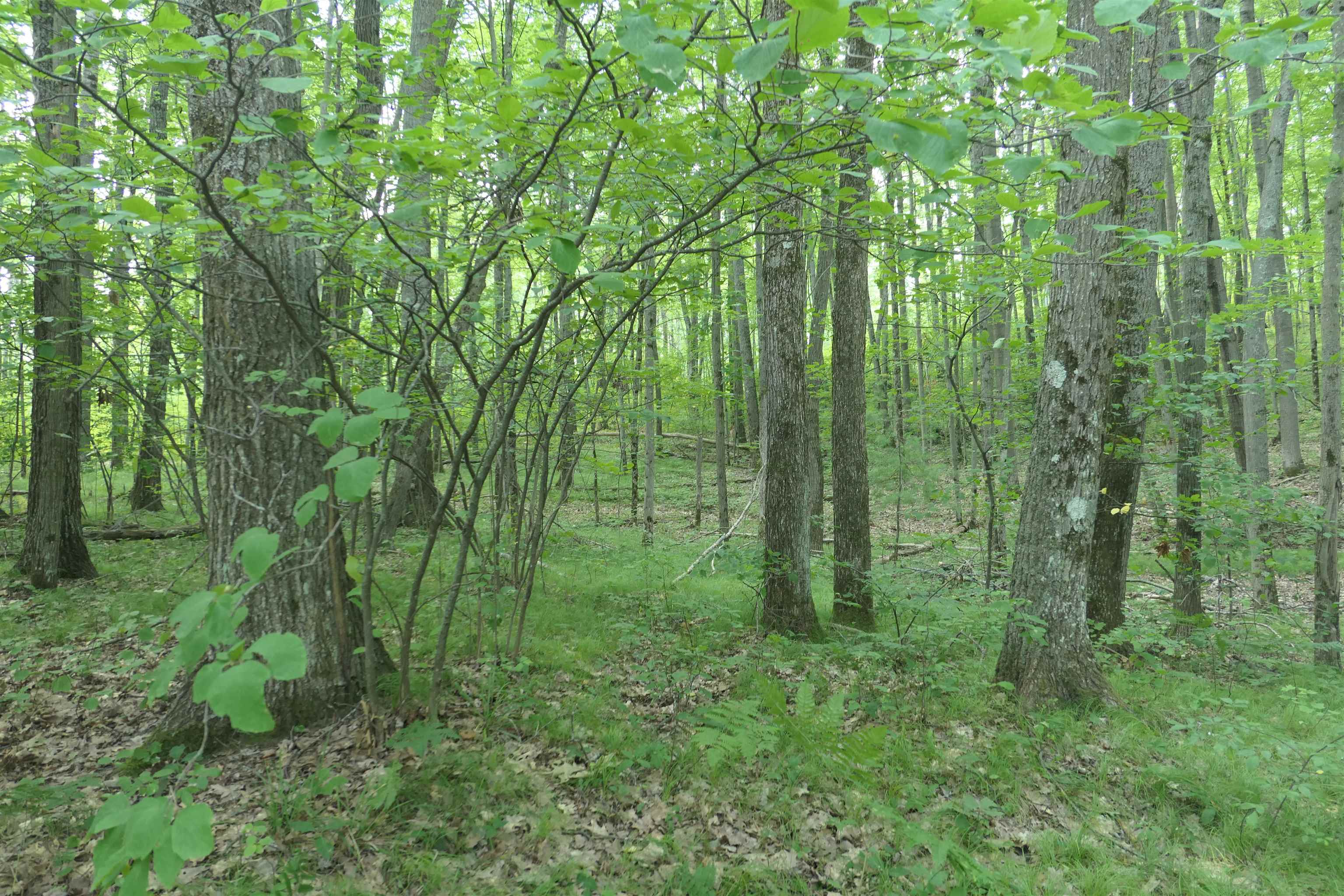 3420 Bungo Trail Property Photo 40