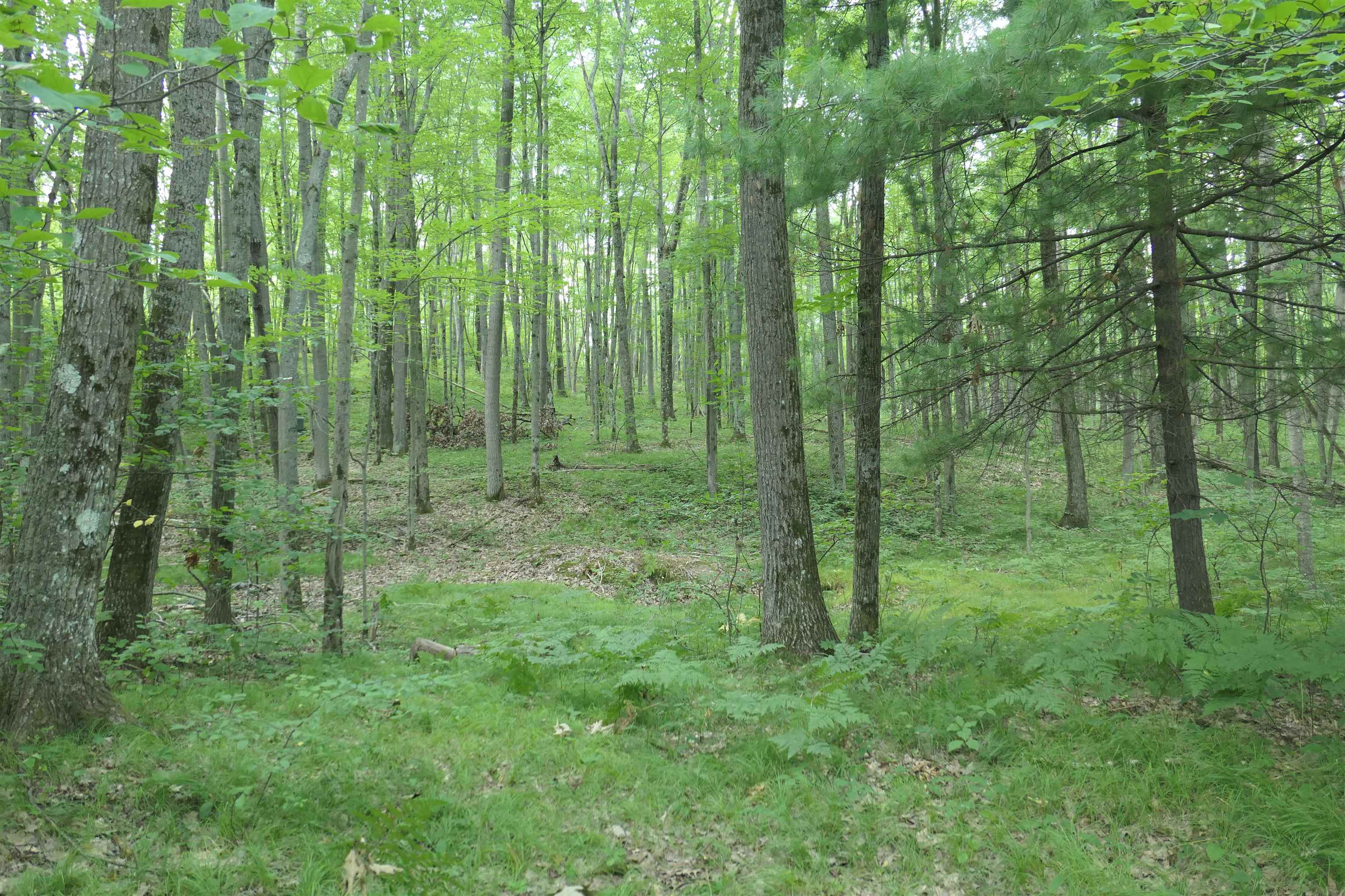 3420 Bungo Trail Property Photo 41