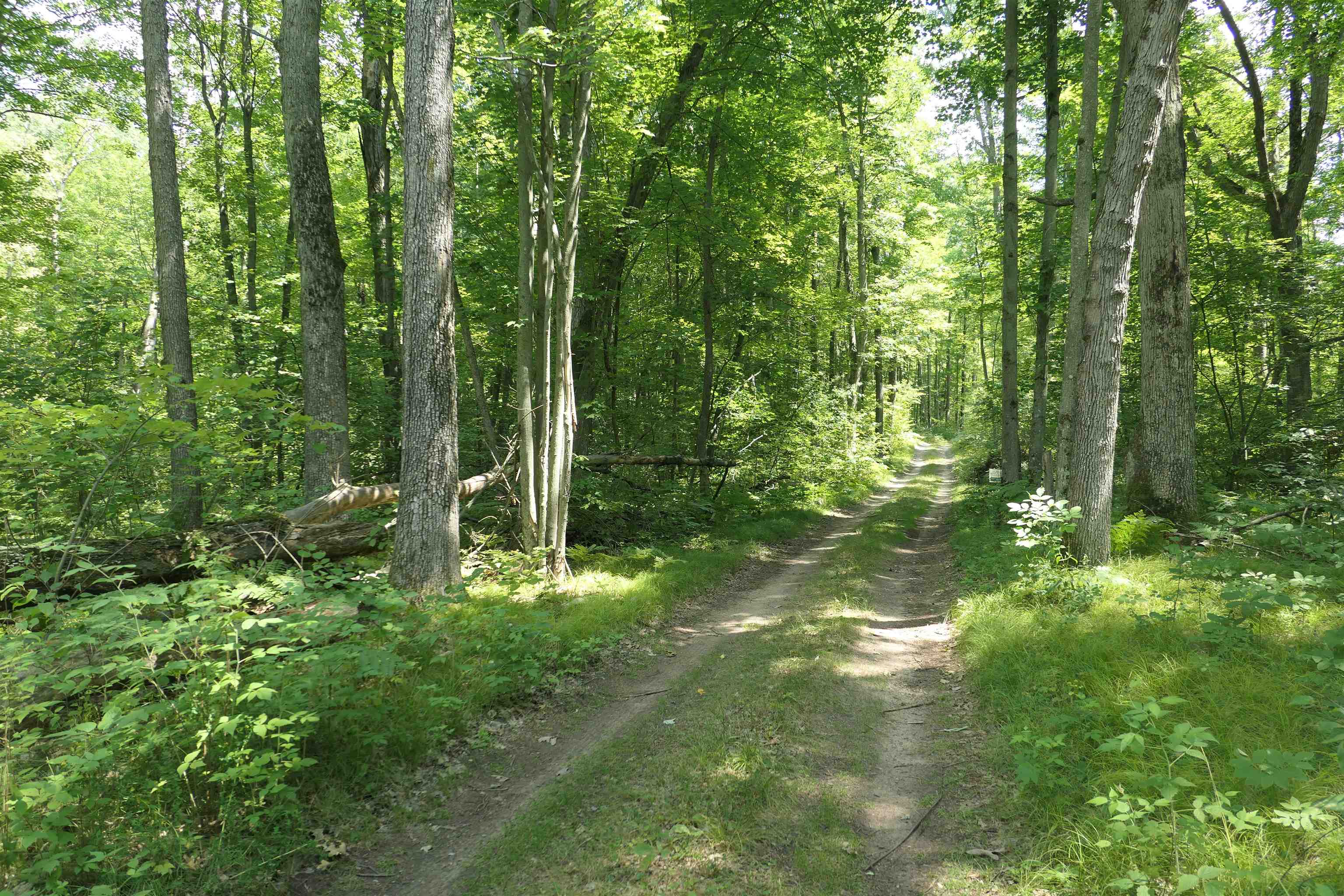 3420 Bungo Trail Property Photo 42