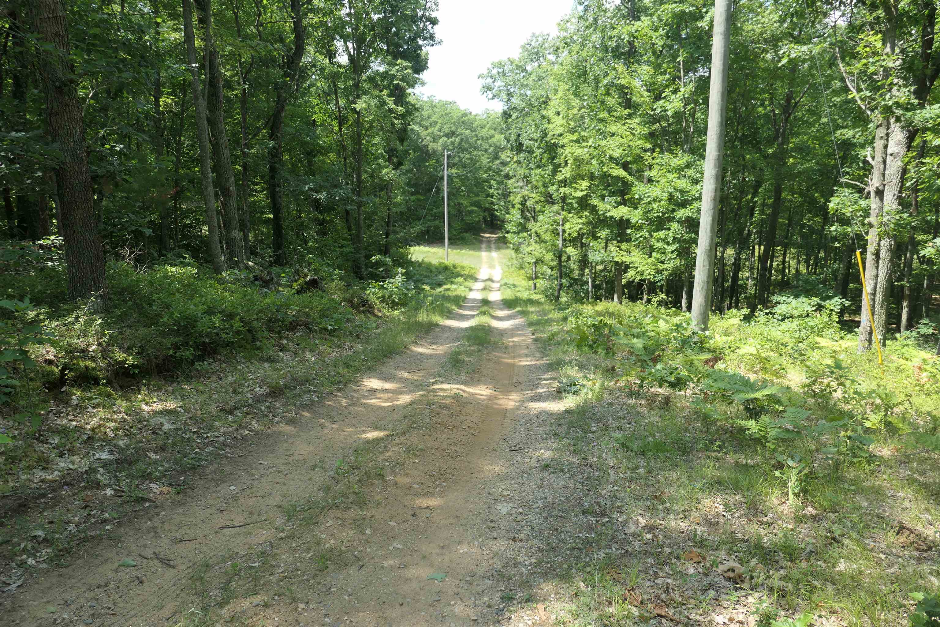 3420 Bungo Trail Property Photo 43