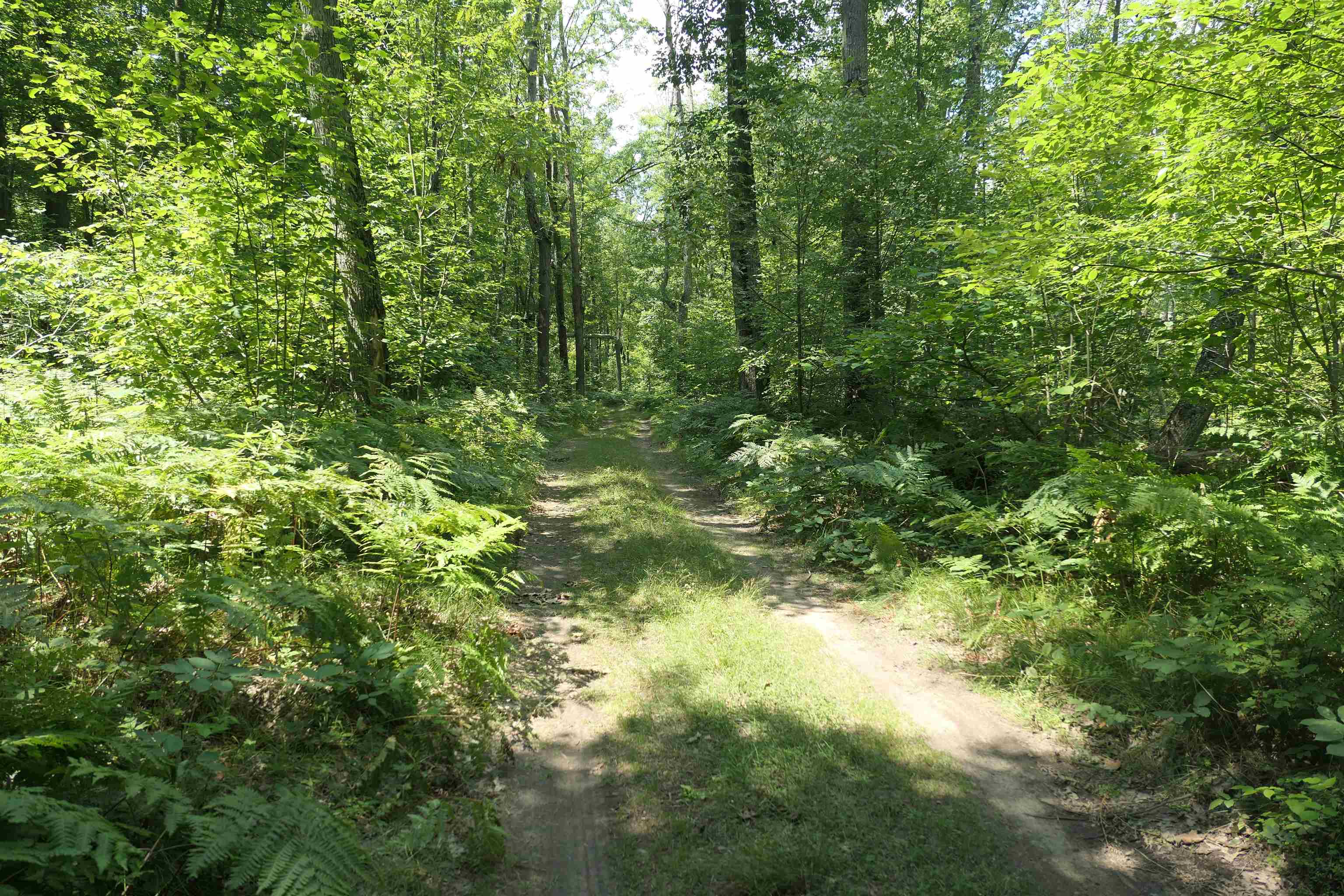 3420 Bungo Trail Property Photo 44