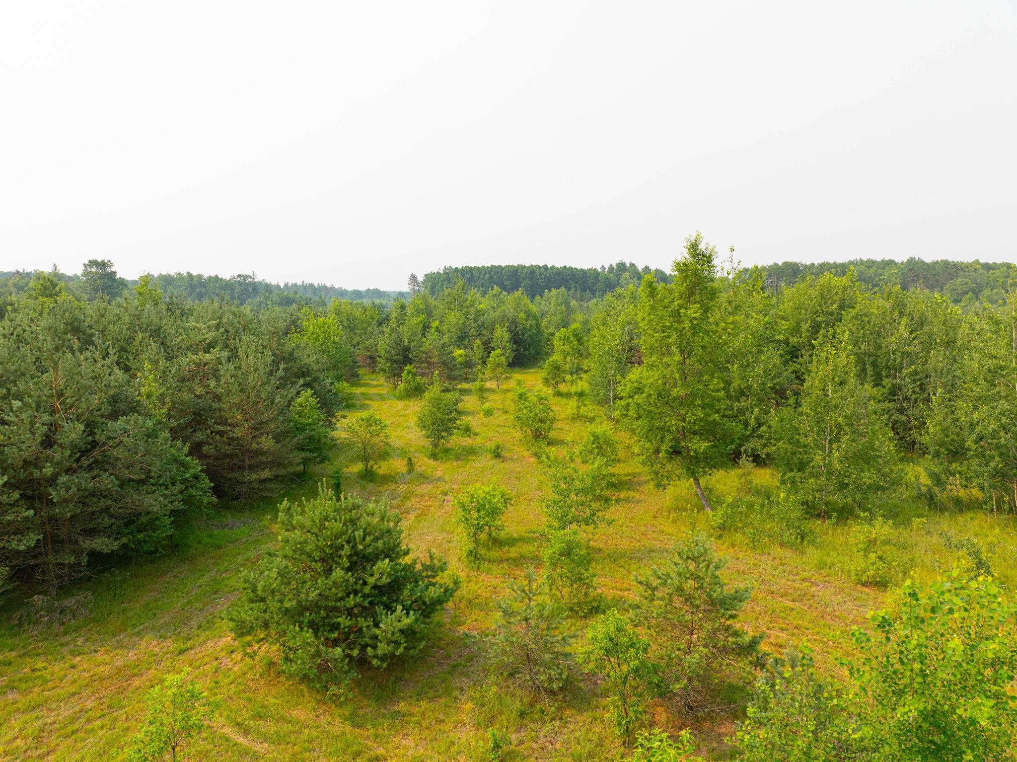 0 Getaway Trail Property Photo 10