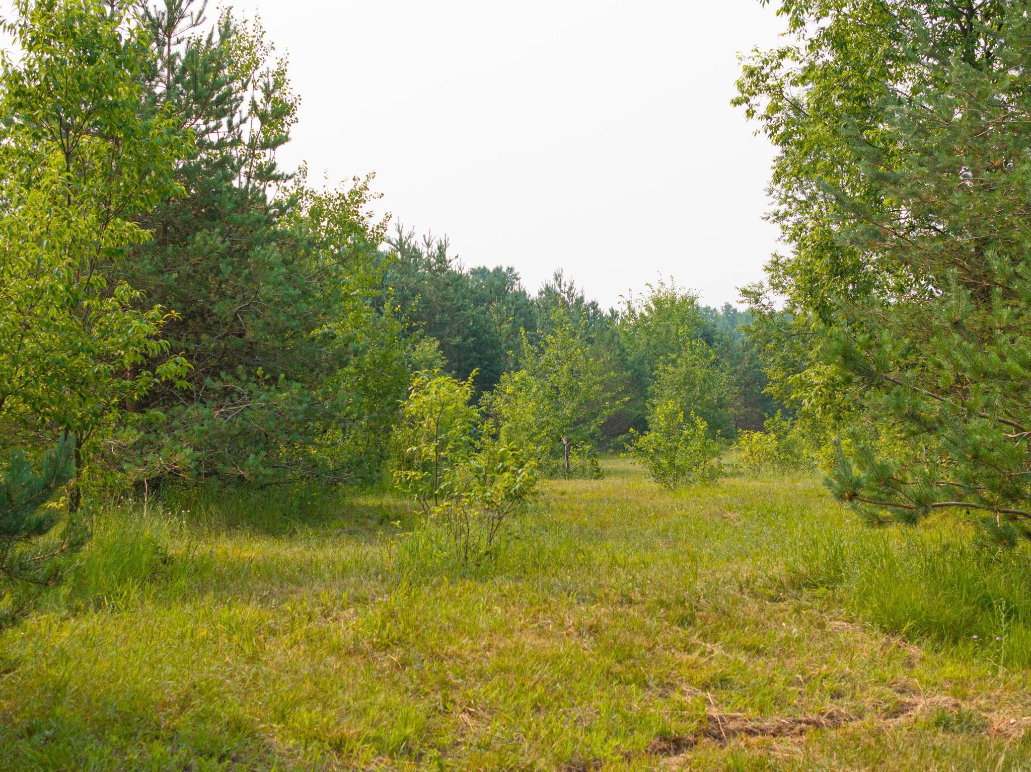 0 Getaway Trail Property Photo 15