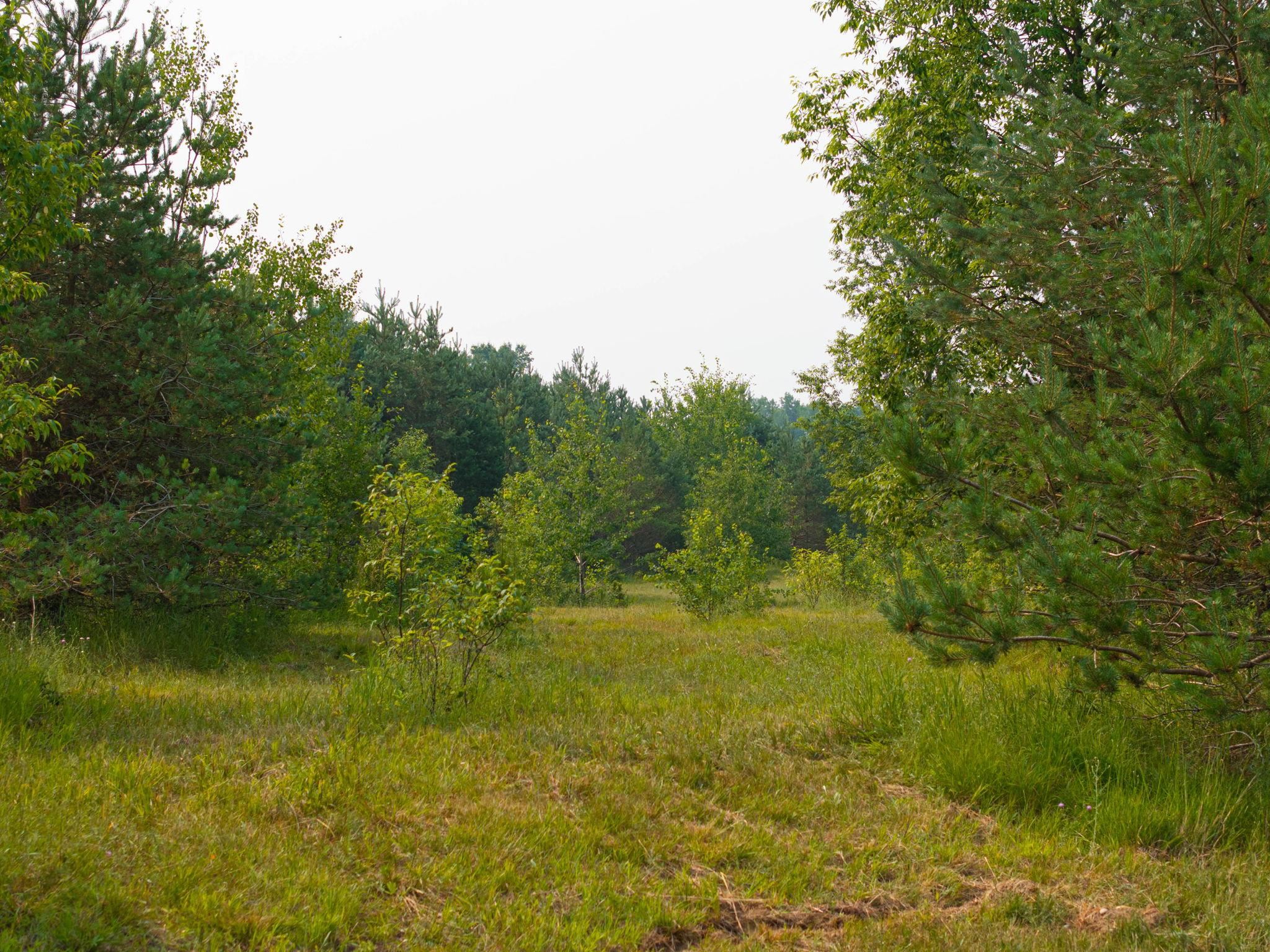 0 Getaway Trail Property Photo 16