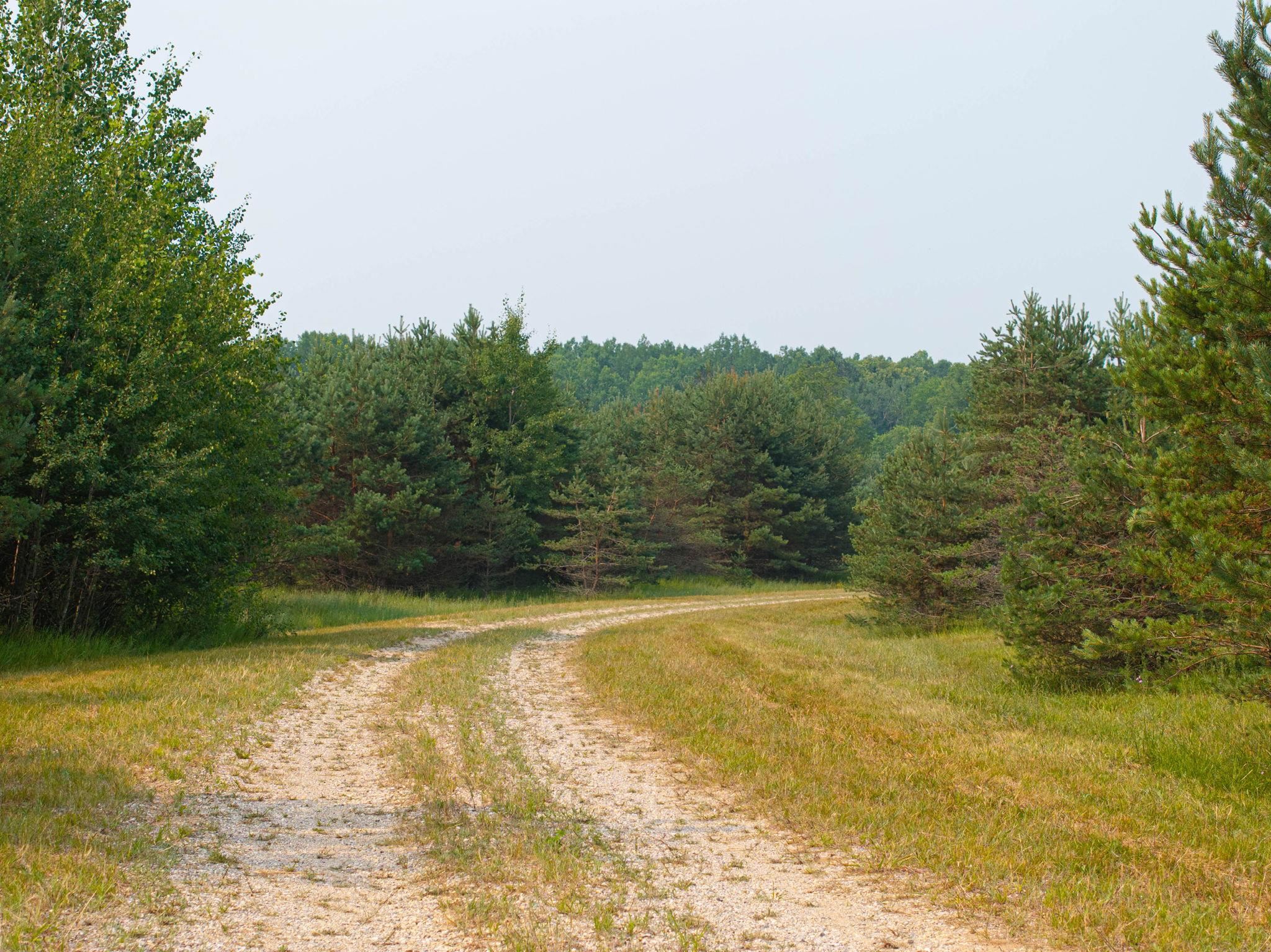 0 Getaway Trail Property Photo 17