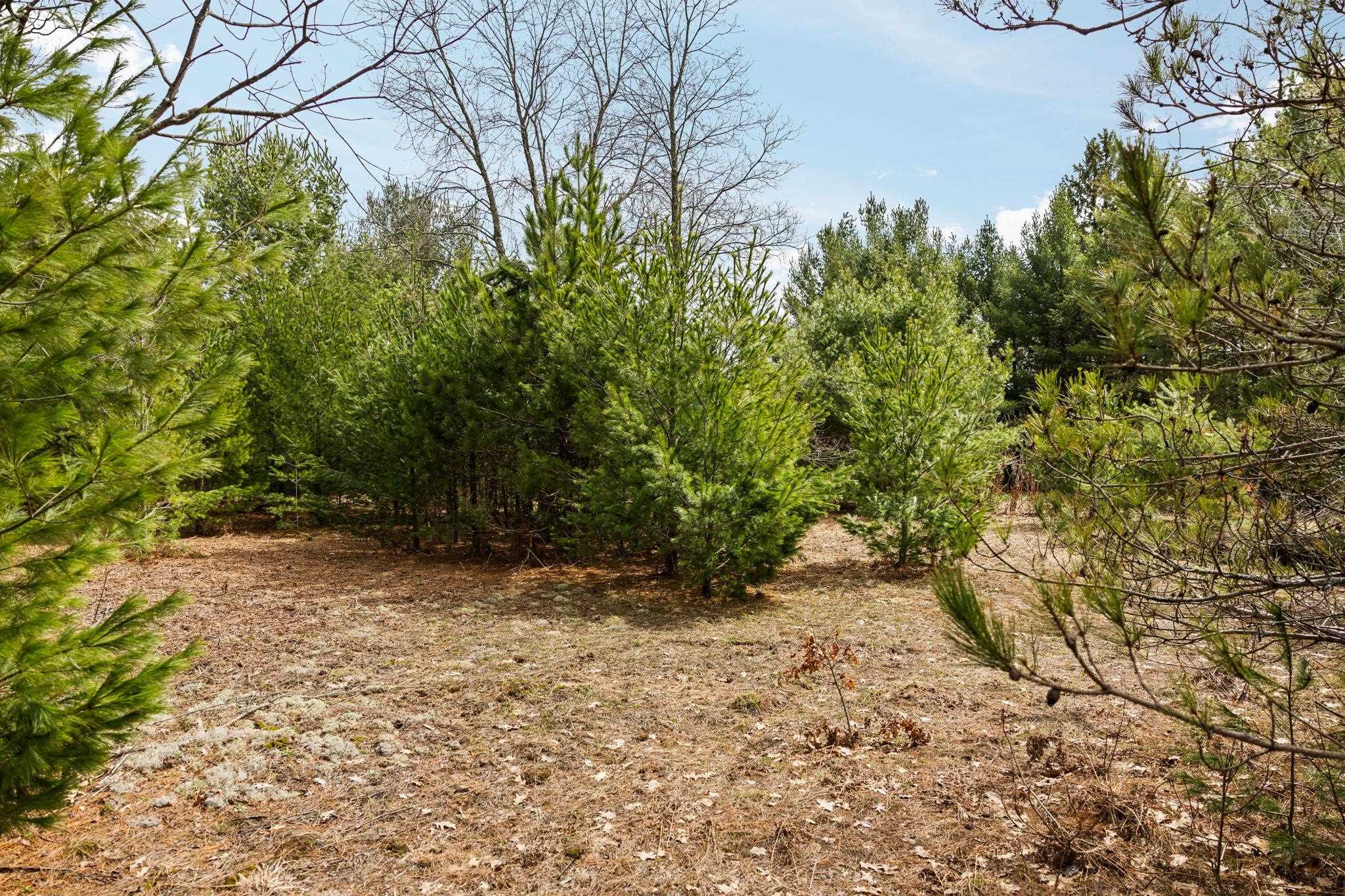 #33 Old Cabin Drive Property Photo 7