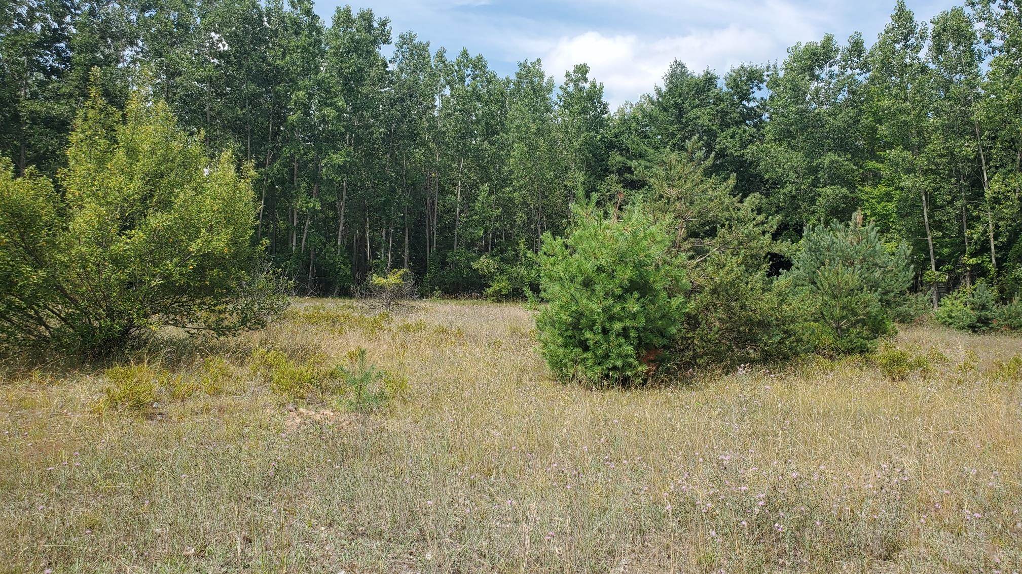 8 Sandbar Lane Property Photo 3
