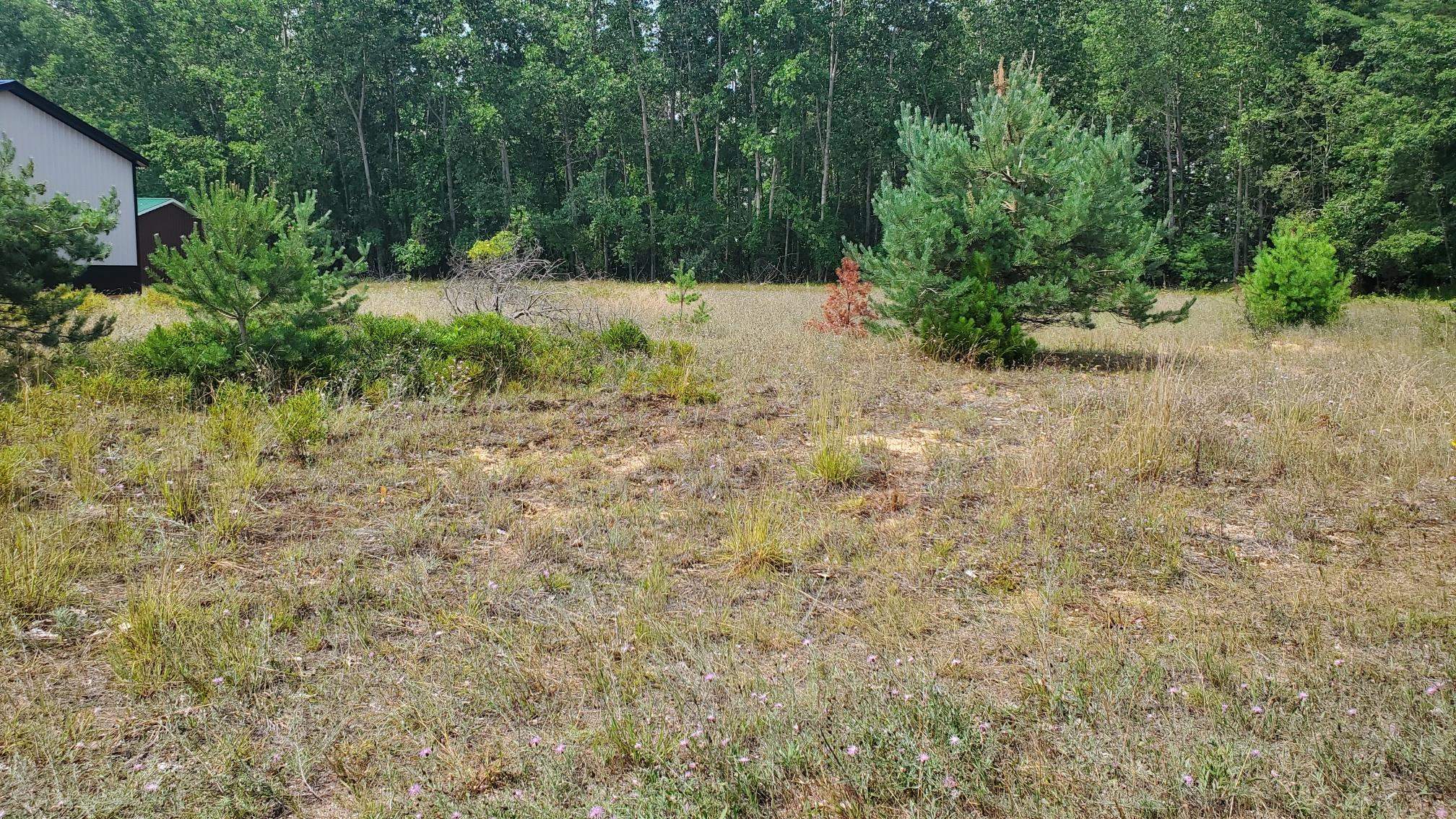 8 Sandbar Lane Property Photo 4