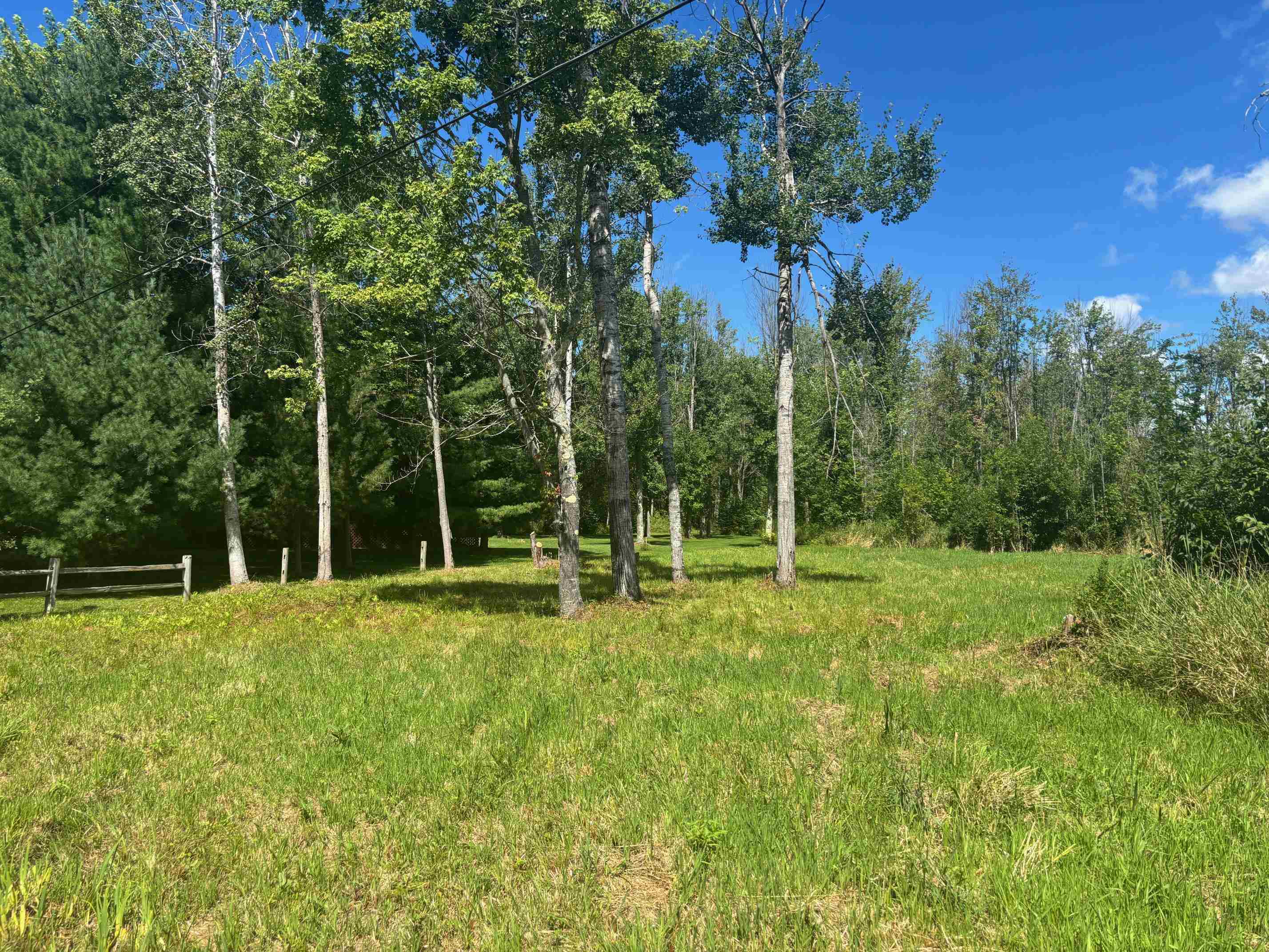 14222 Birch Pointe Drive Property Photo 4
