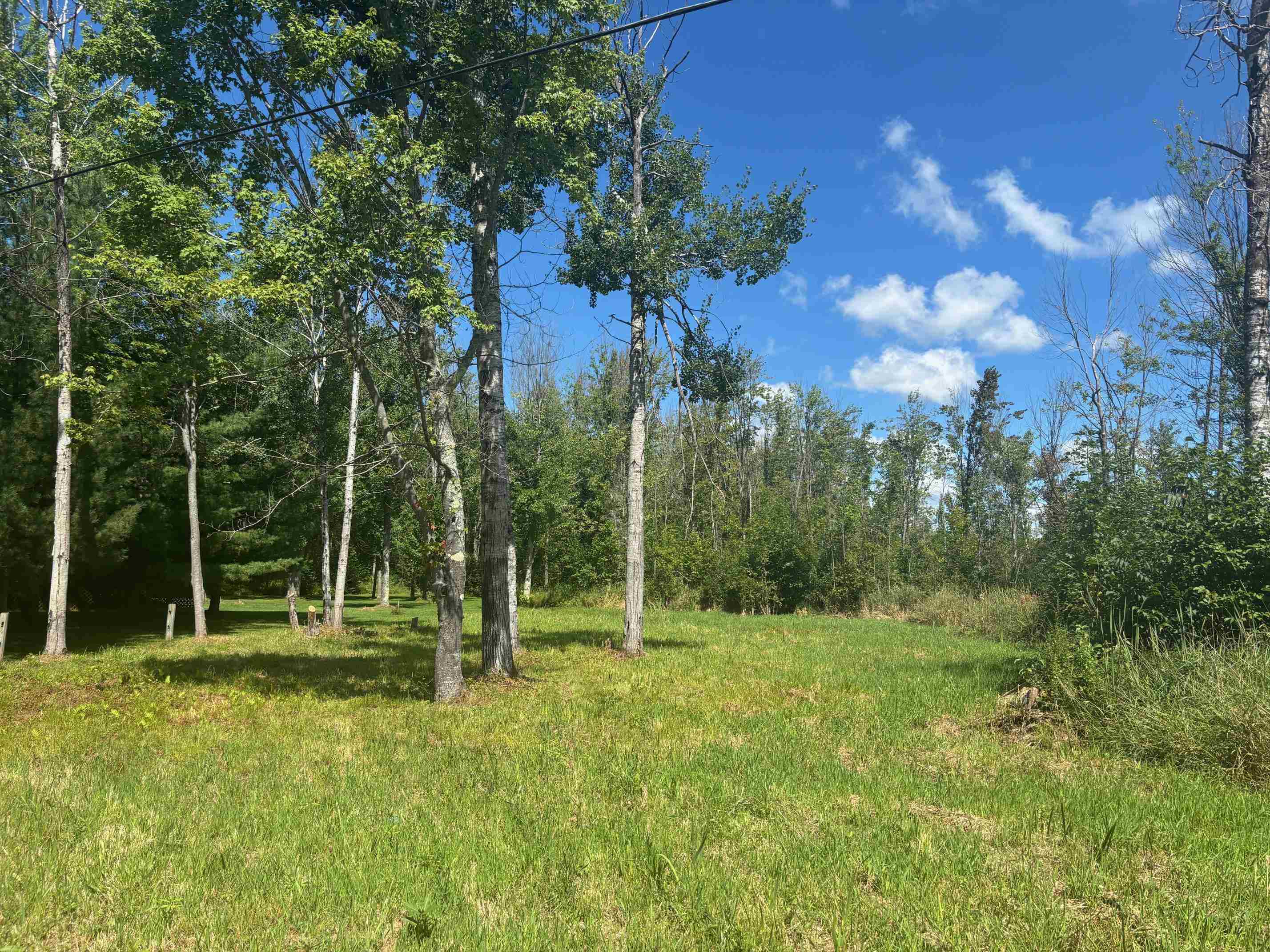 14222 Birch Pointe Drive Property Photo 5