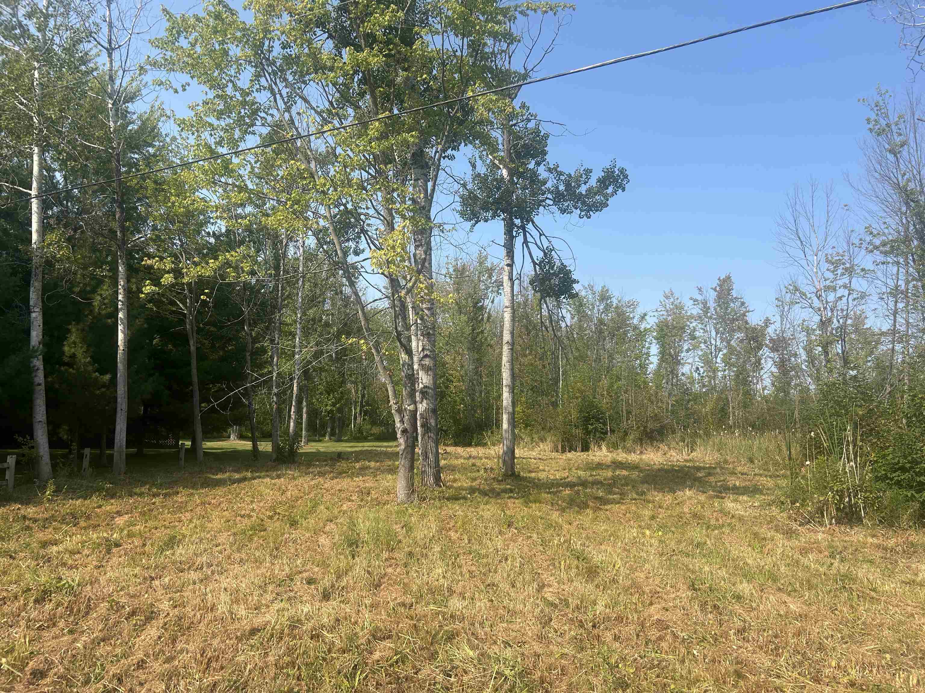 14222 Birch Pointe Drive Property Photo 15
