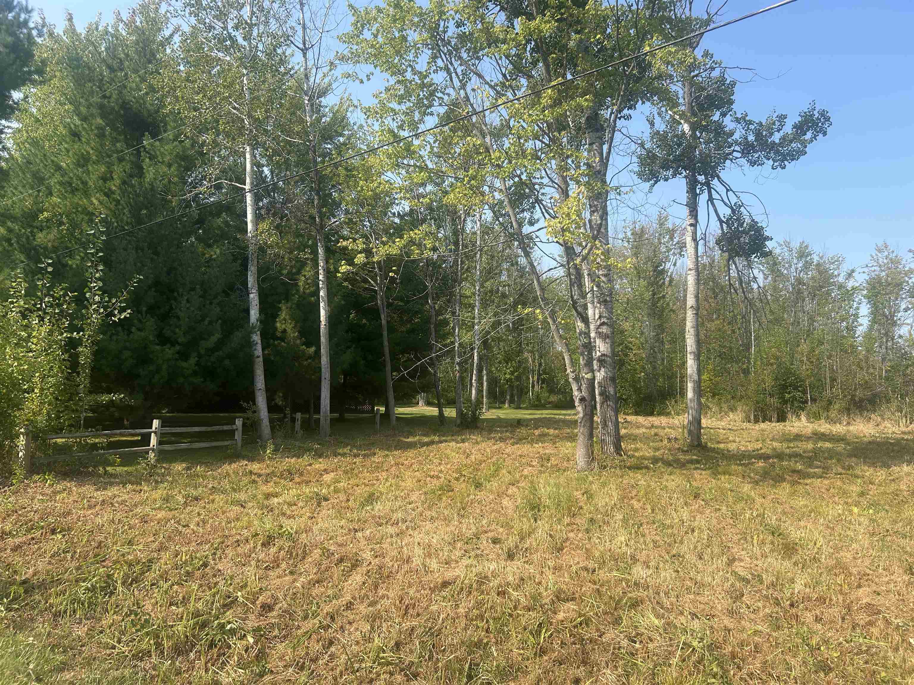 14222 Birch Pointe Drive Property Photo 16