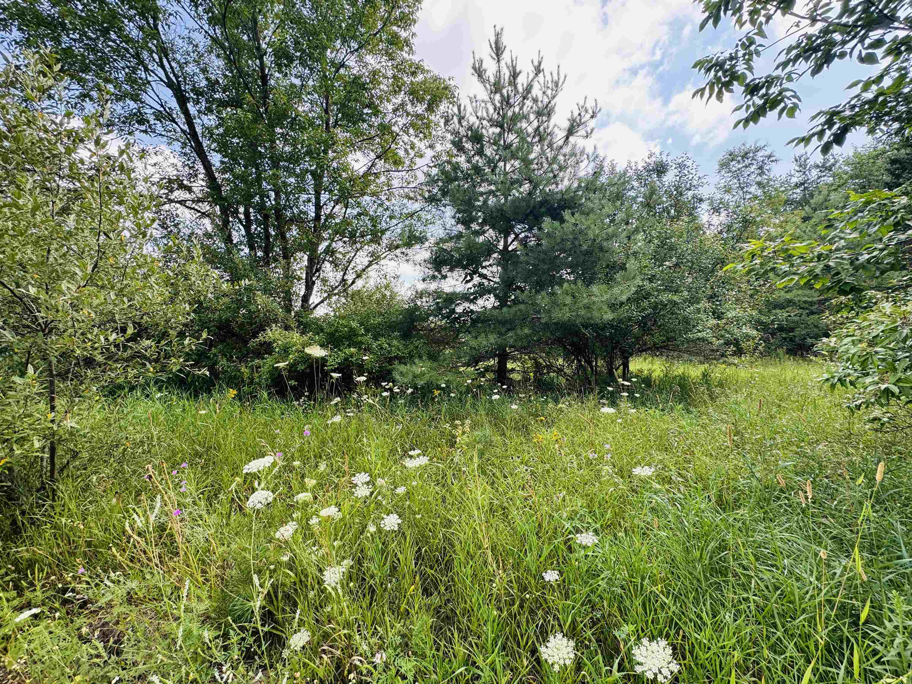 Parcel B6/b7 Bosscher Road Property Photo 2