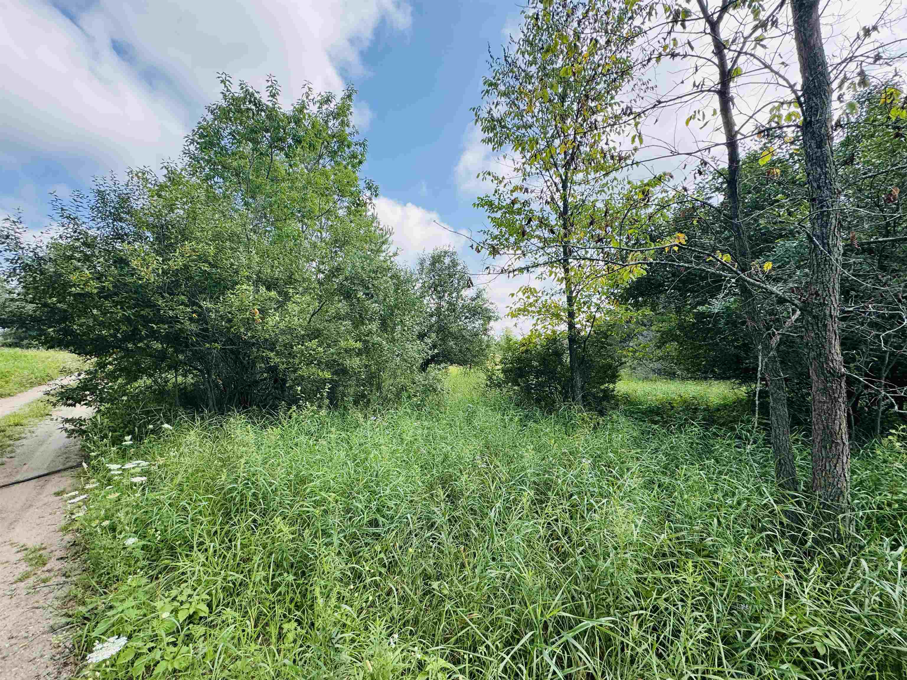 Parcel B6/b7 Bosscher Road Property Photo 4