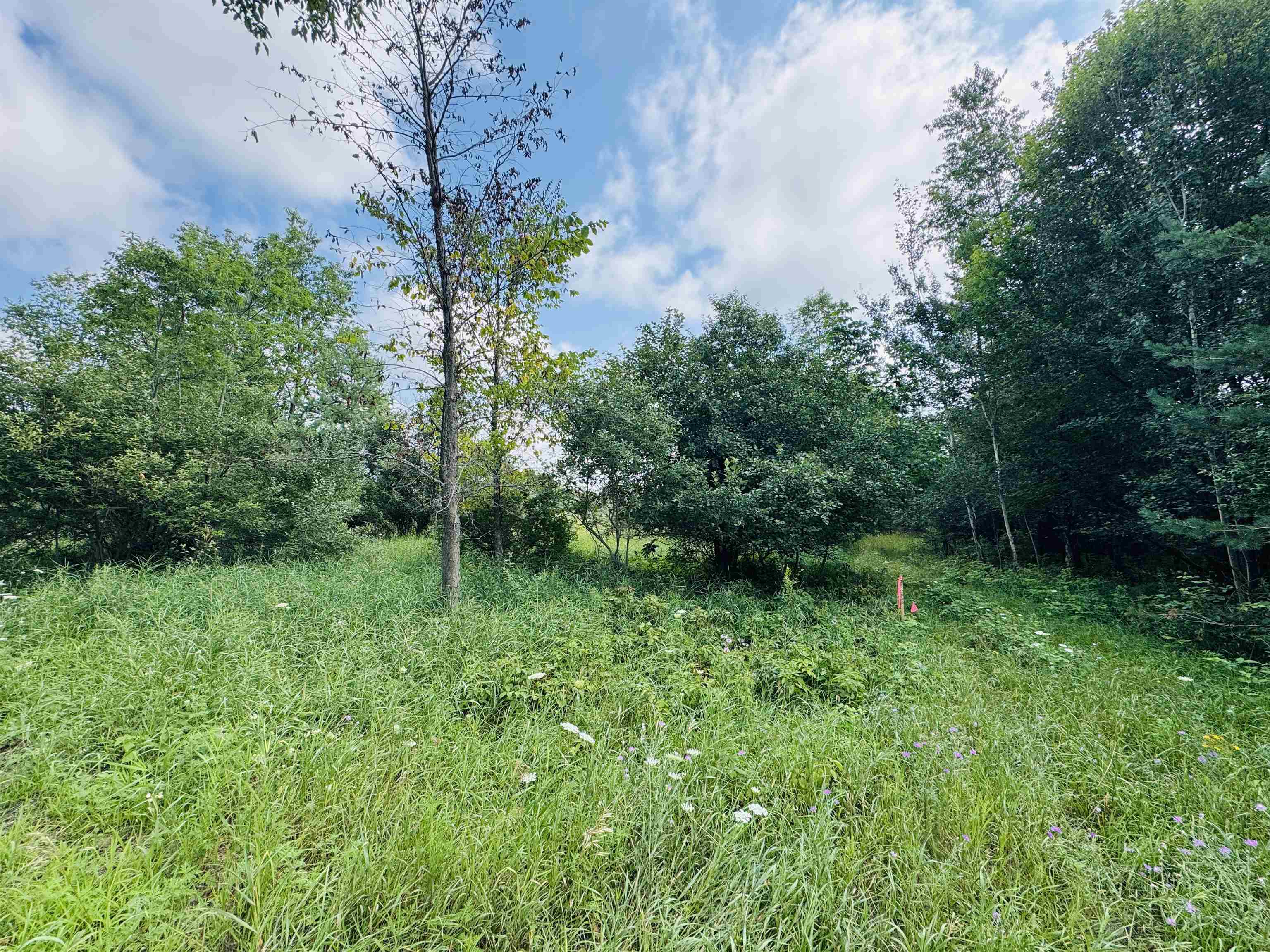 Parcel B6/b7 Bosscher Road Property Photo 5