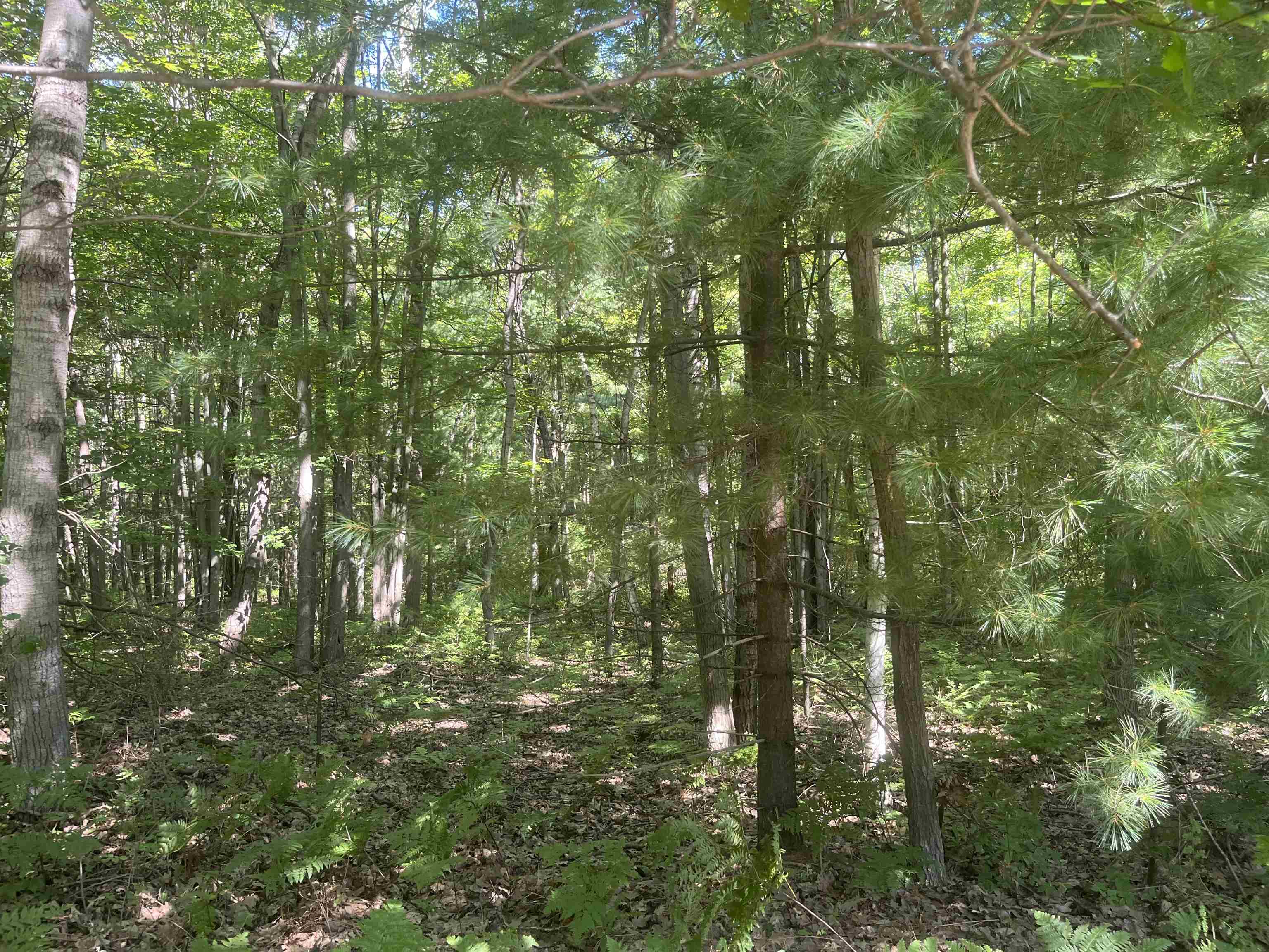5200 S Huron Property Photo 28