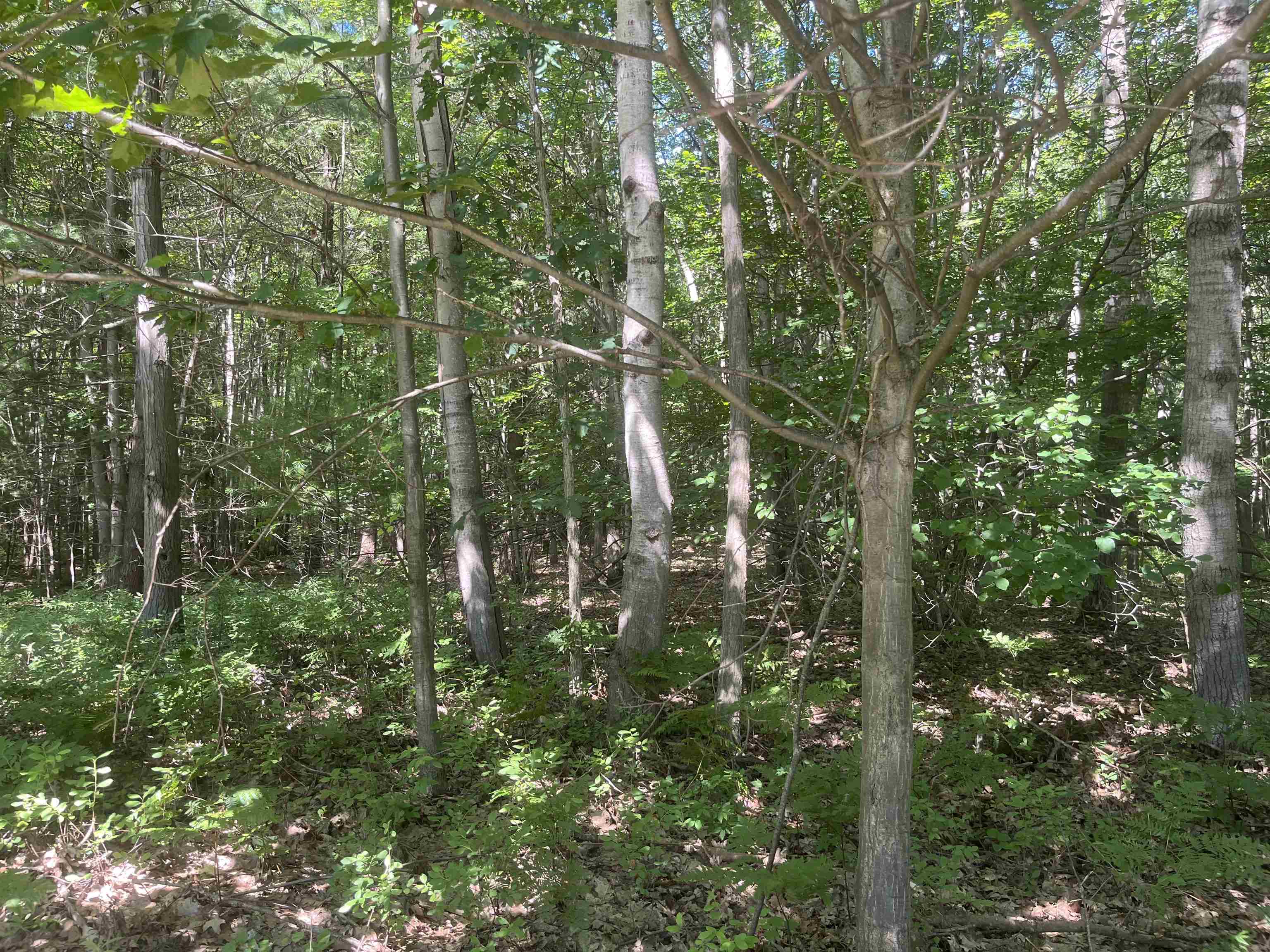 5200 S Huron Property Photo 29