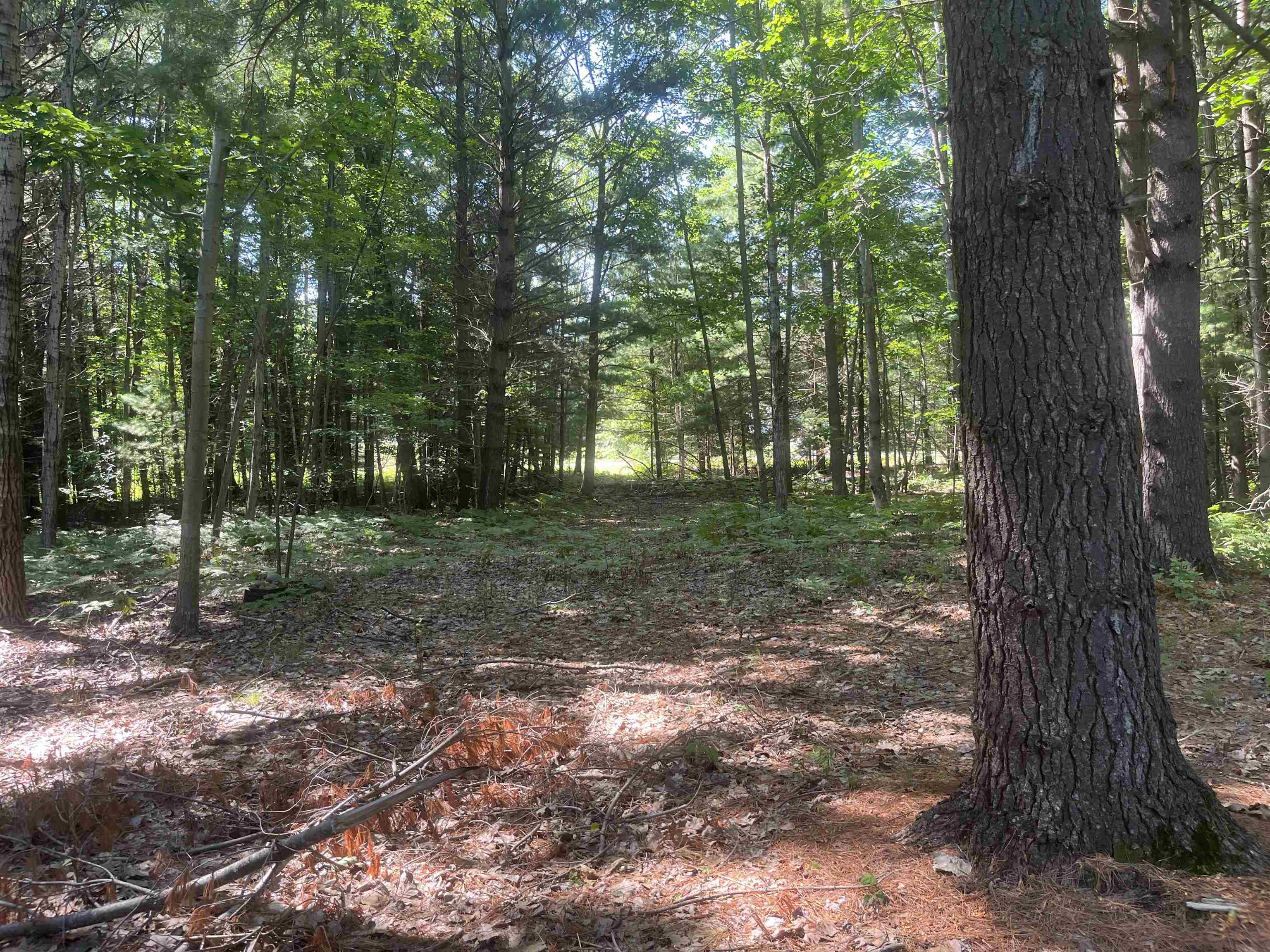 5200 S Huron Property Photo 30