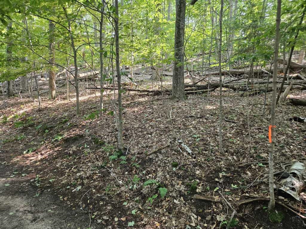 0 Figg Road Property Photo 5