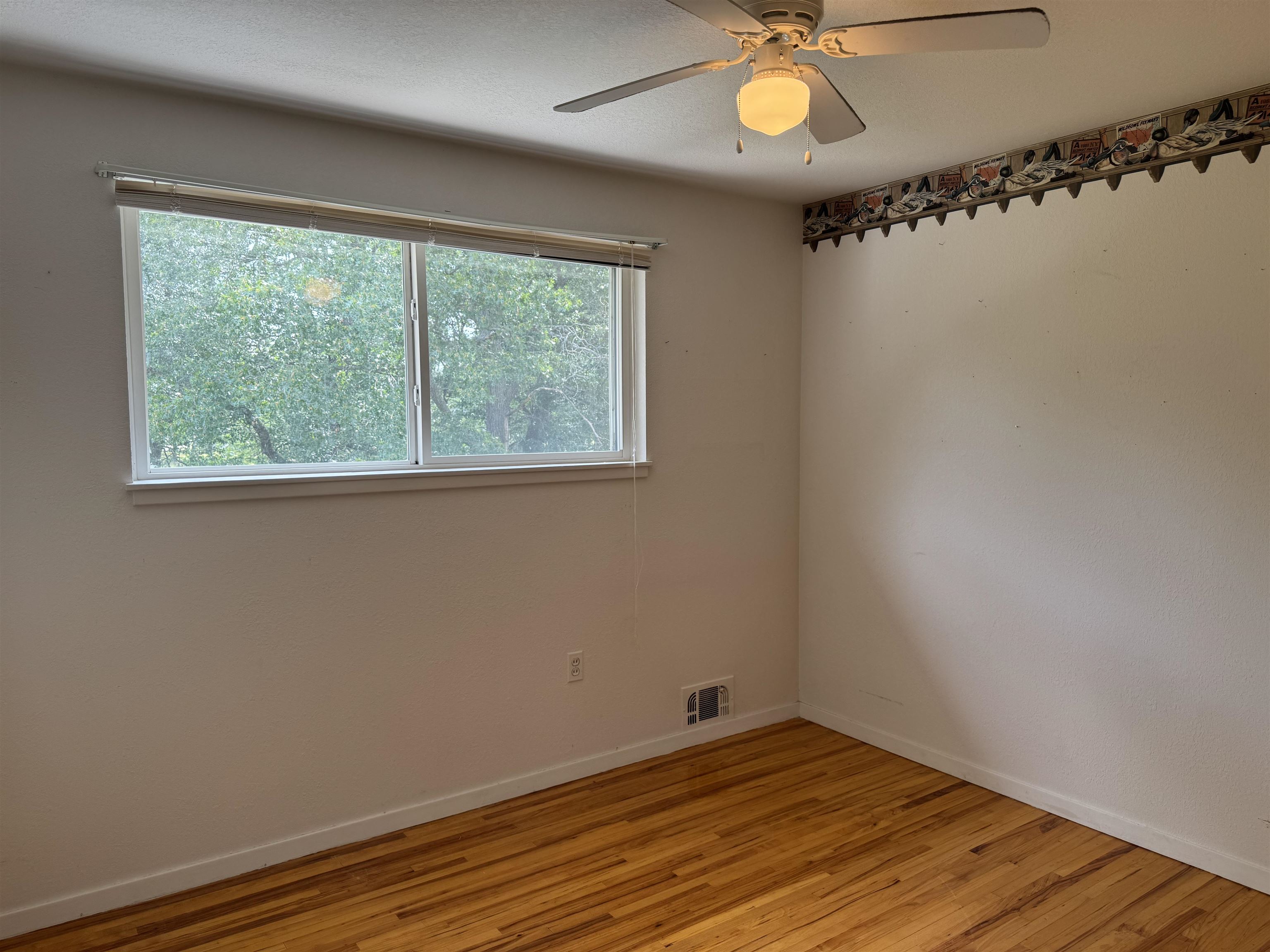 9513 Montana Street Property Photo 12