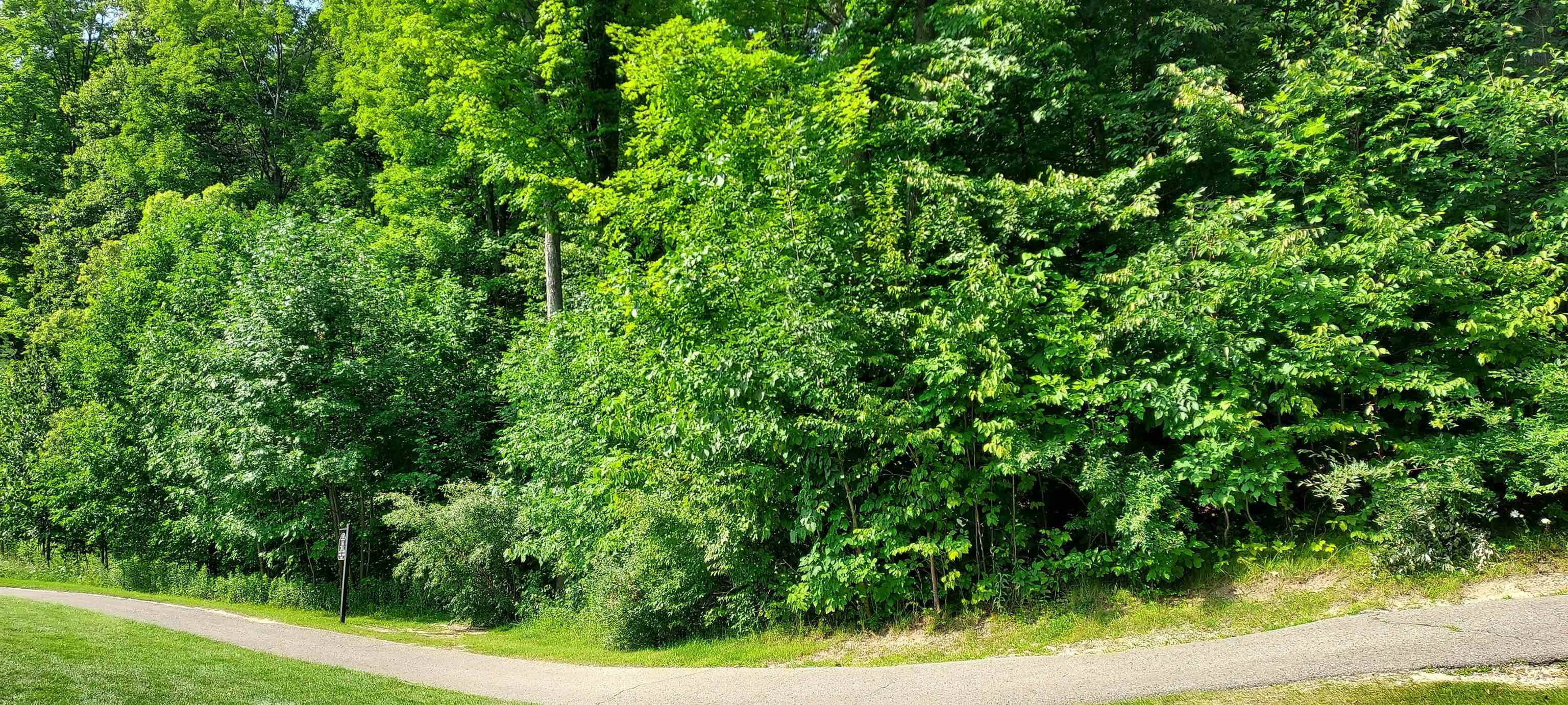 105 Legend Trail Property Photo 2