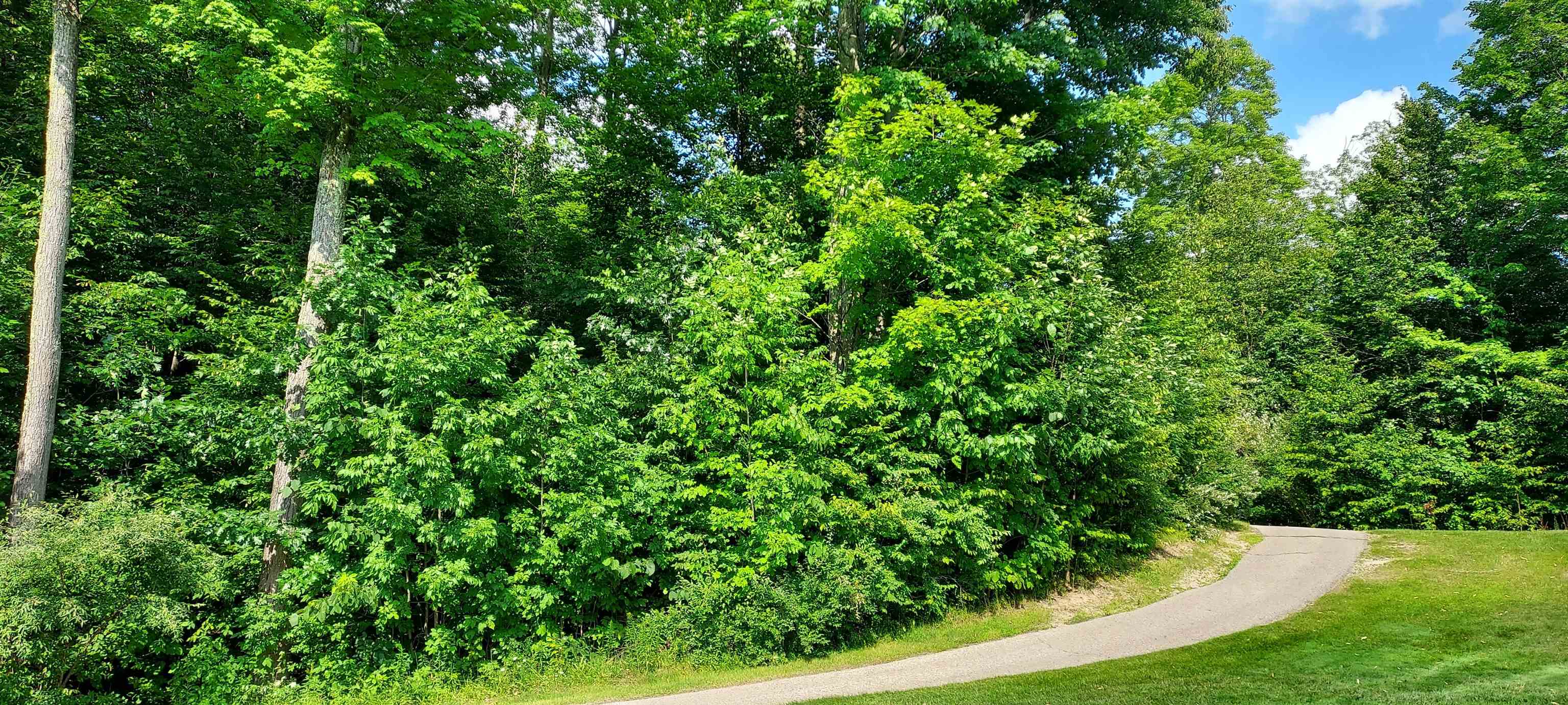 105 Legend Trail Property Photo 5