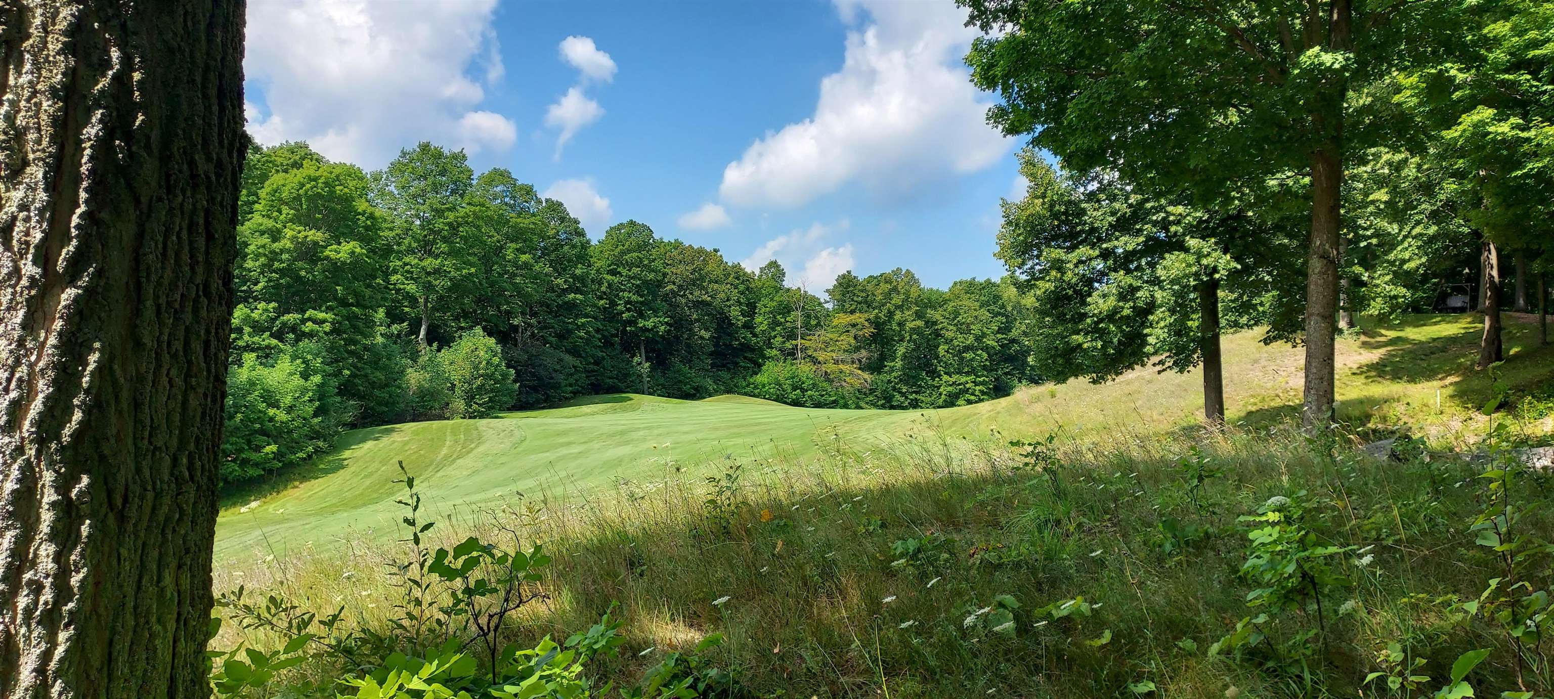 105 Legend Trail Property Photo 6