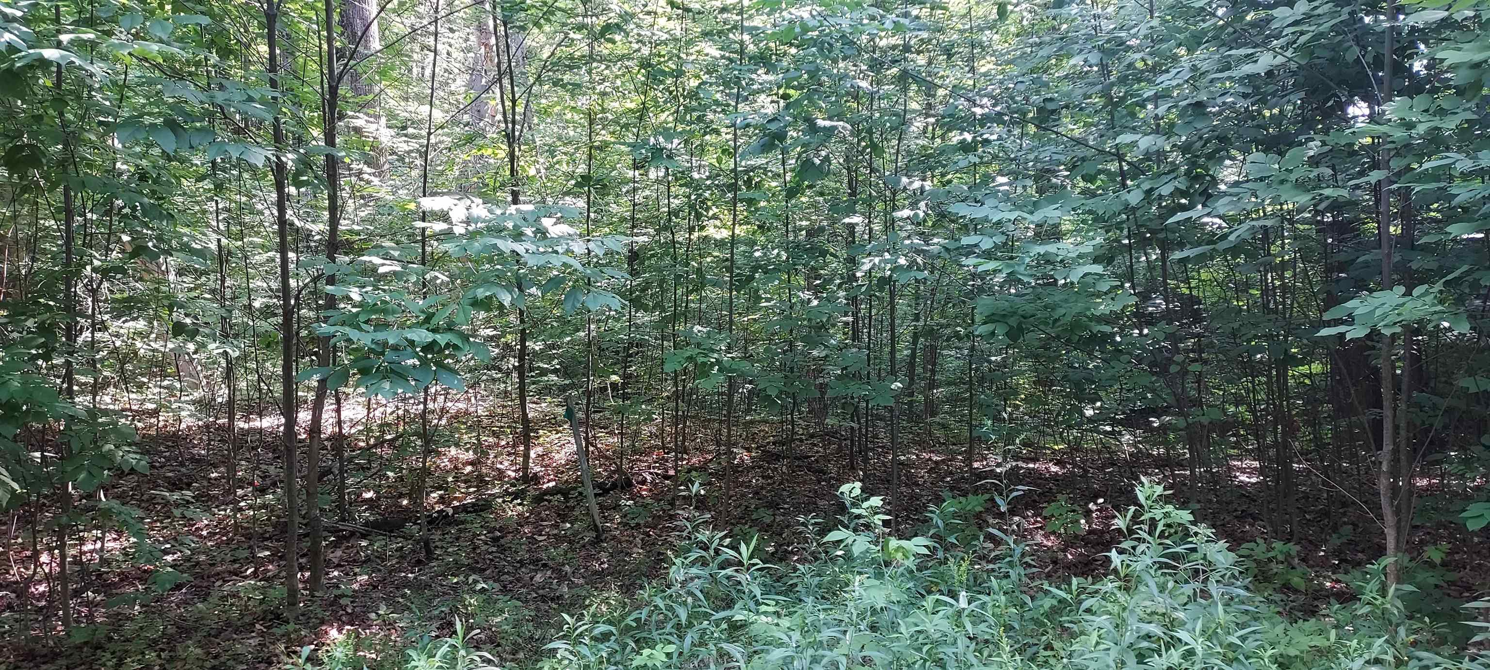 105 Legend Trail Property Photo 7