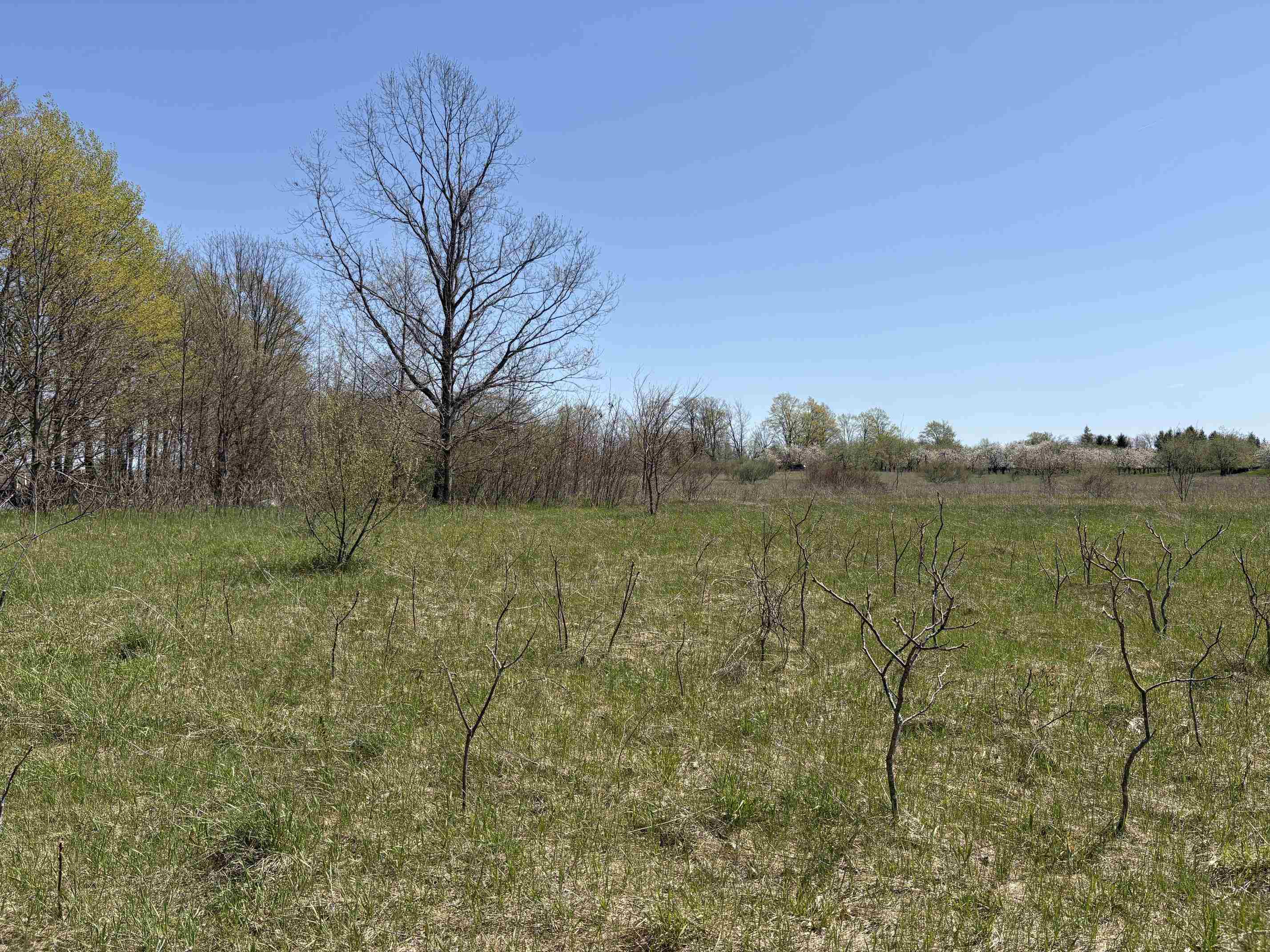 00 E Lovers Lane Property Photo 18