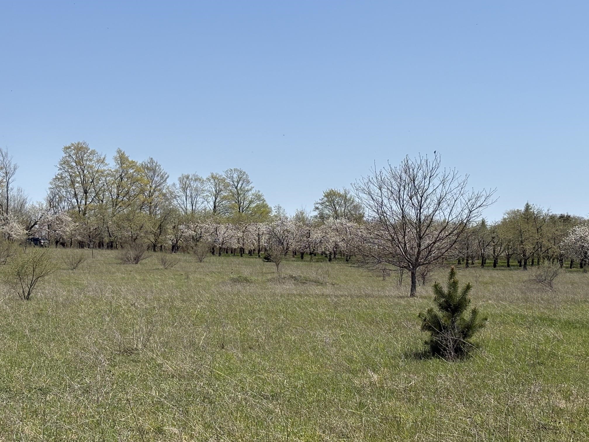 00 E Lovers Lane Property Photo 19