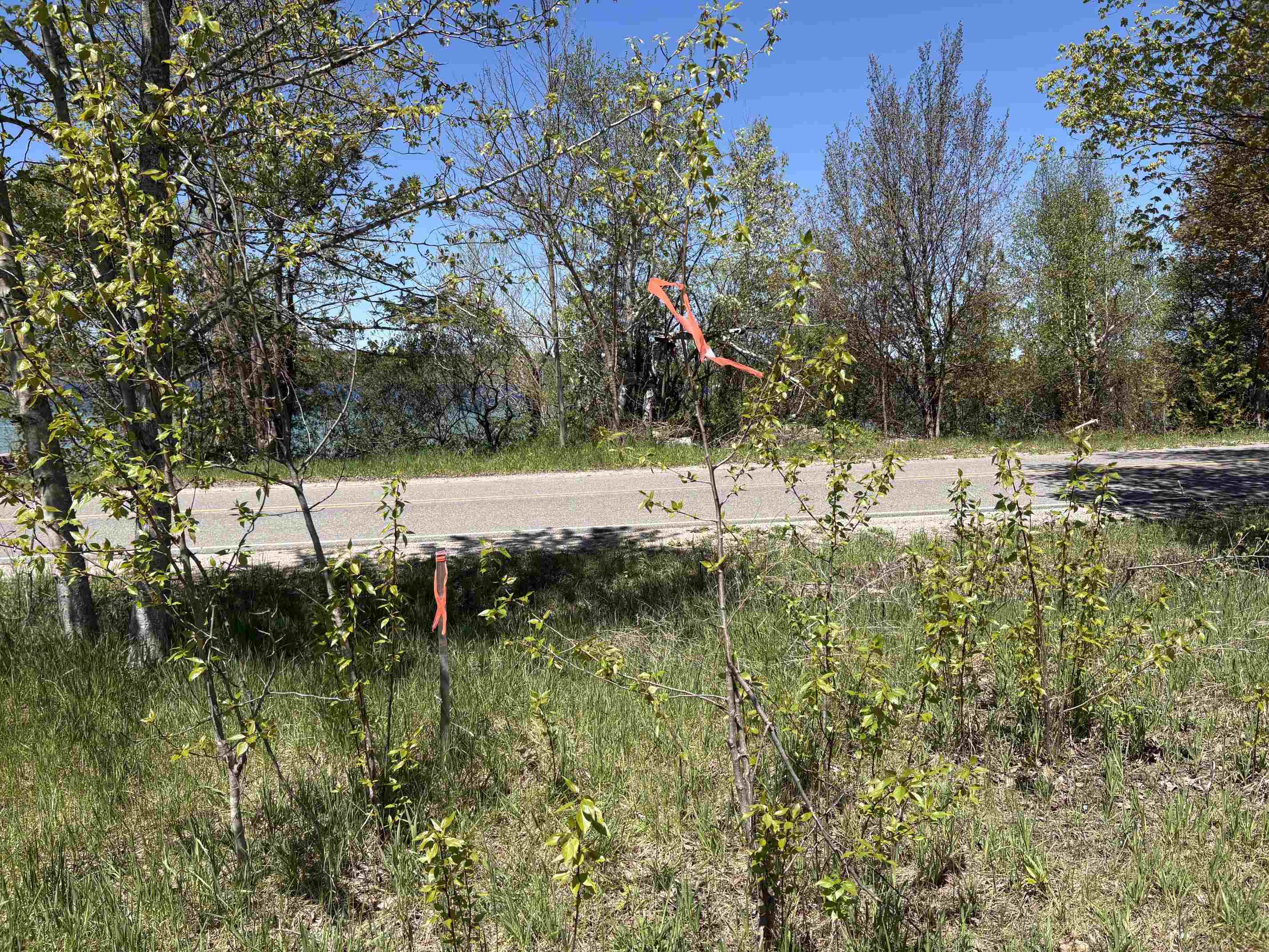000 N Stony Point Road Property Photo 61