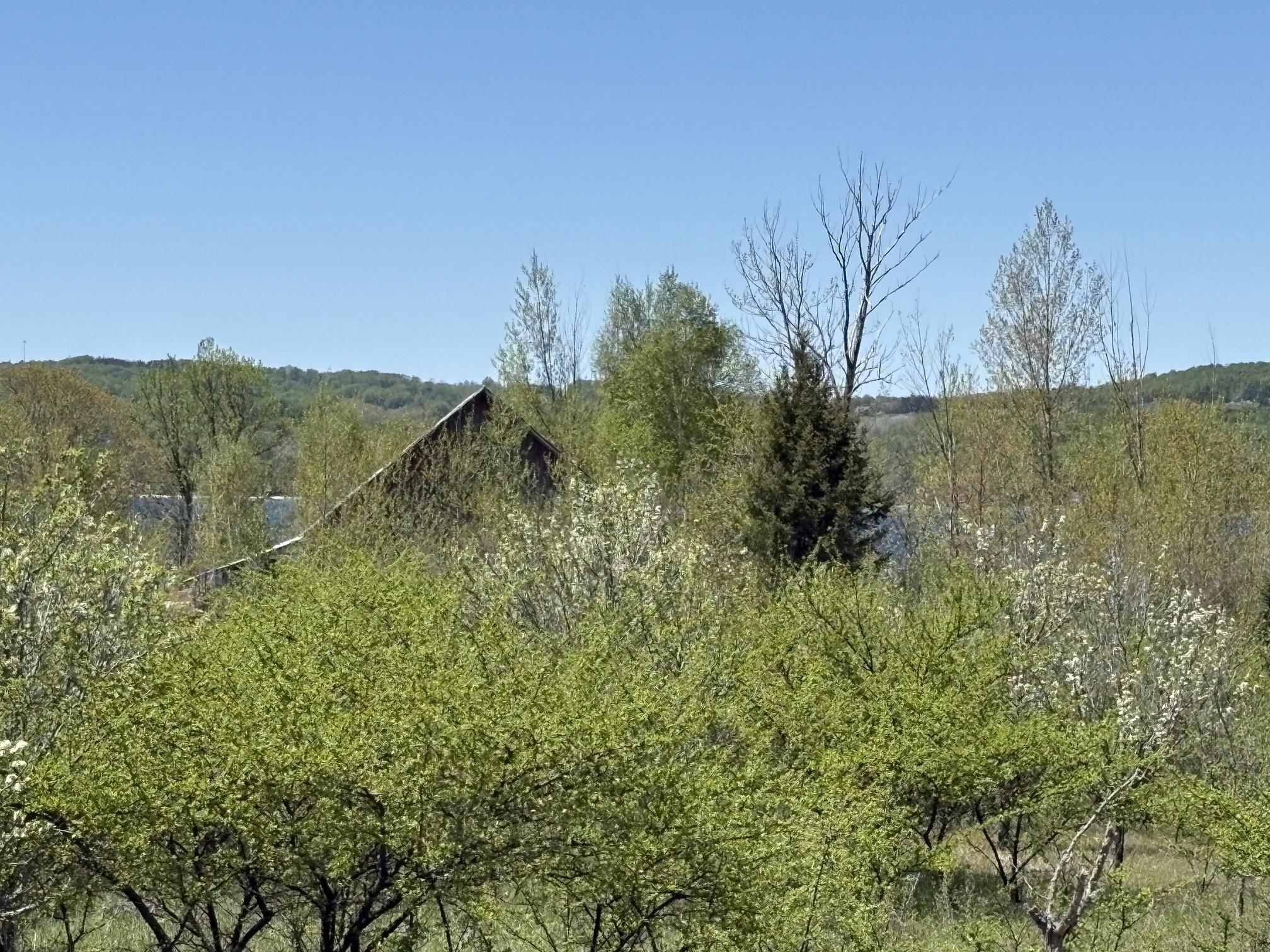 000 N Stony Point Road Property Photo 66