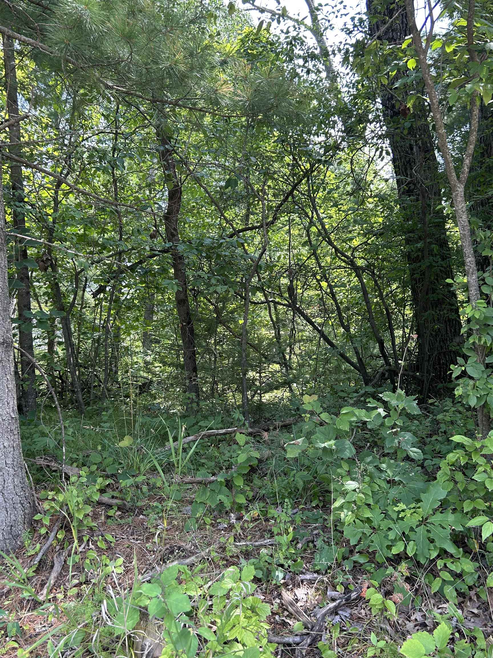 Vl_828 Choctaw Trail Property Photo 1