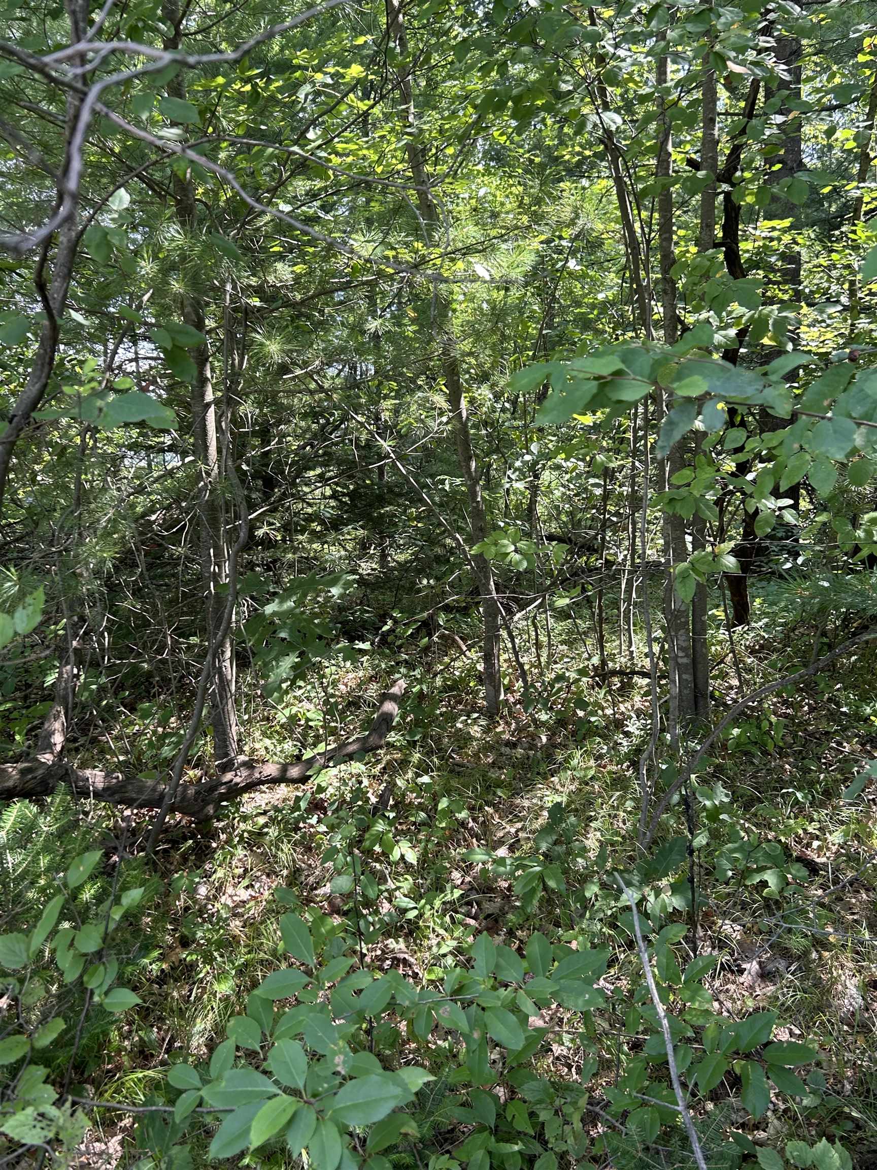 Vl_828 Choctaw Trail Property Photo 2