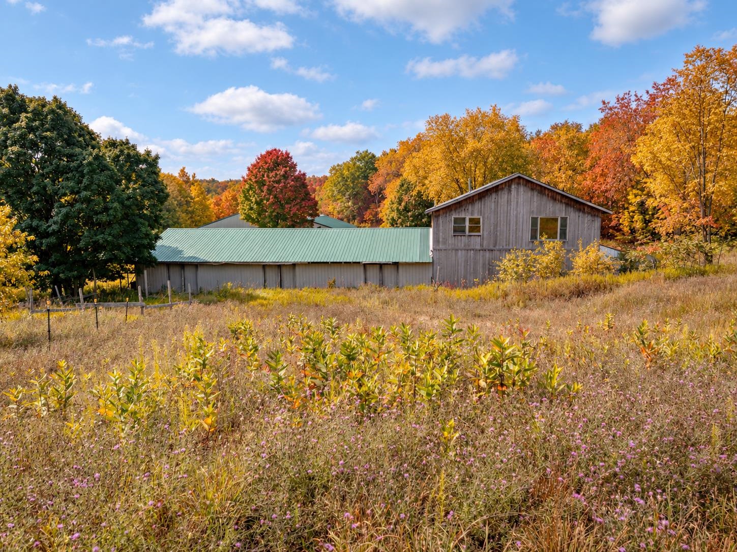 9651 N Reynolds Road Property Photo 46