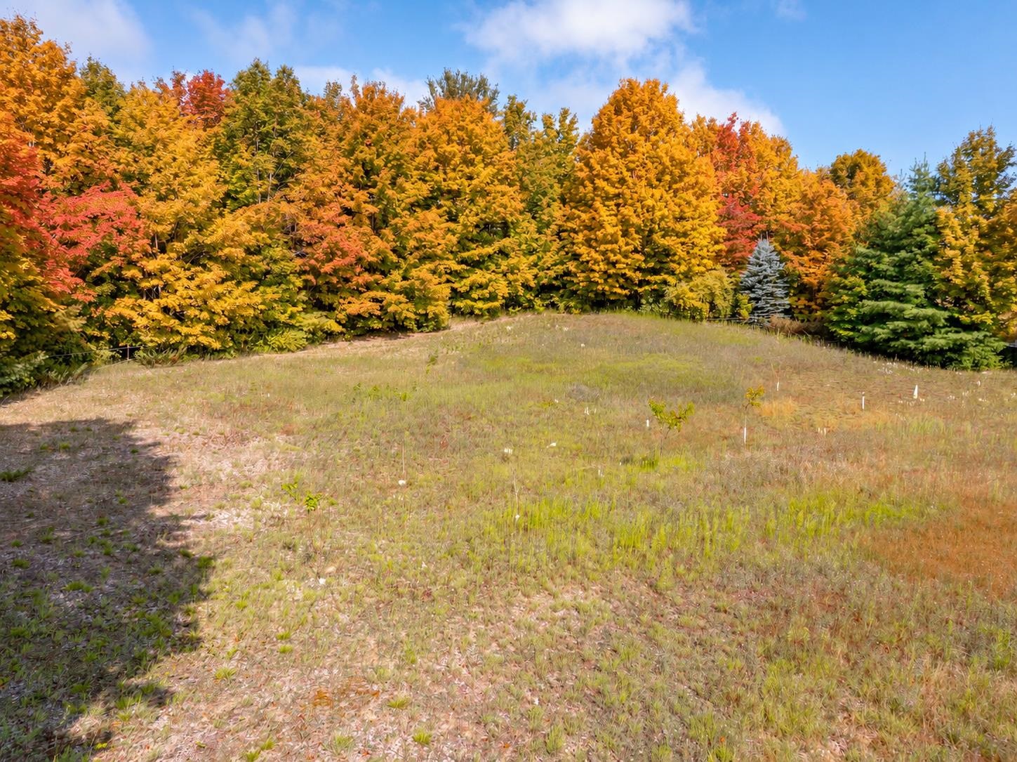 9651 N Reynolds Road Property Photo 61