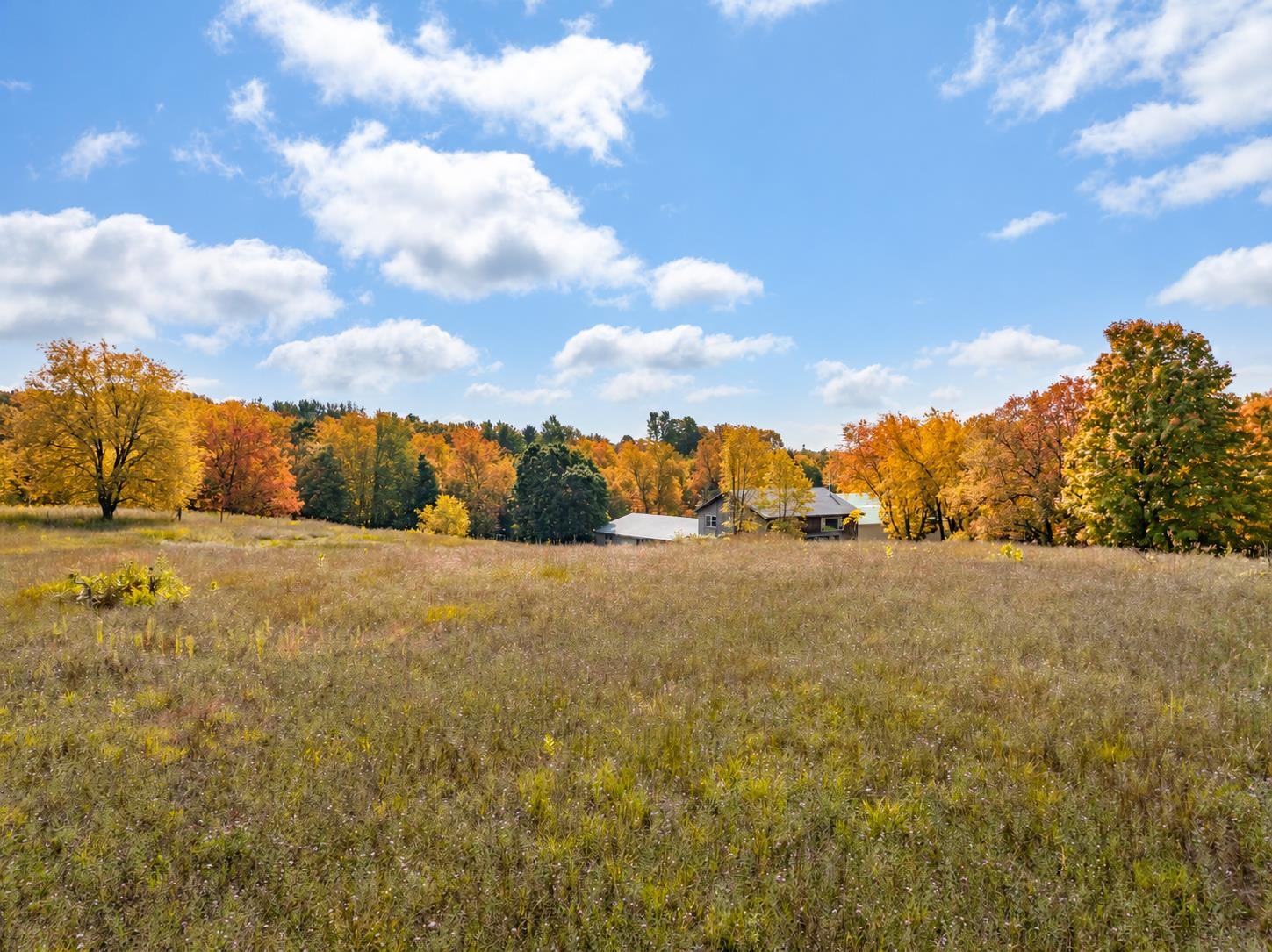 9651 N Reynolds Road Property Photo 63