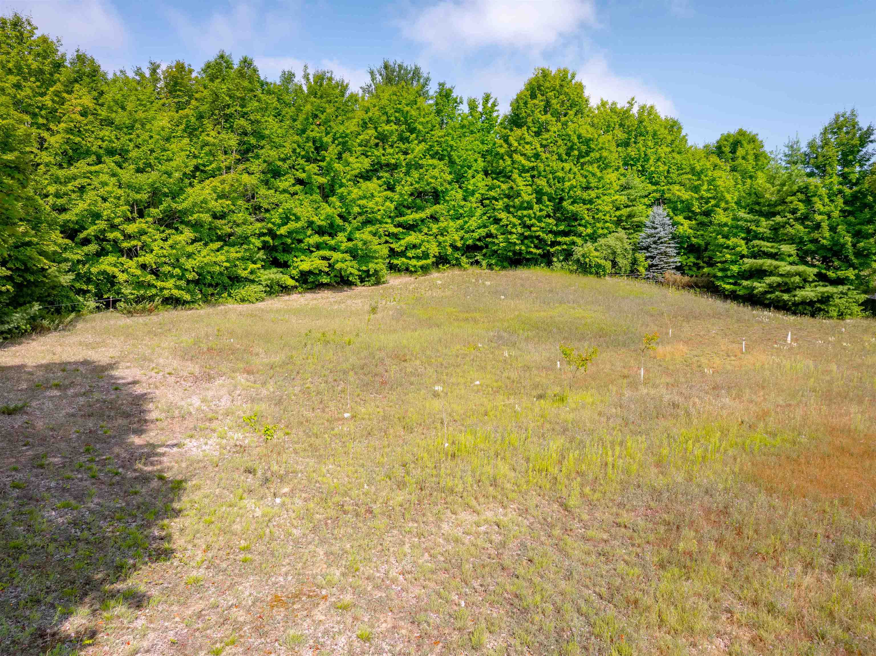 9651 N Reynolds Road Property Photo 87