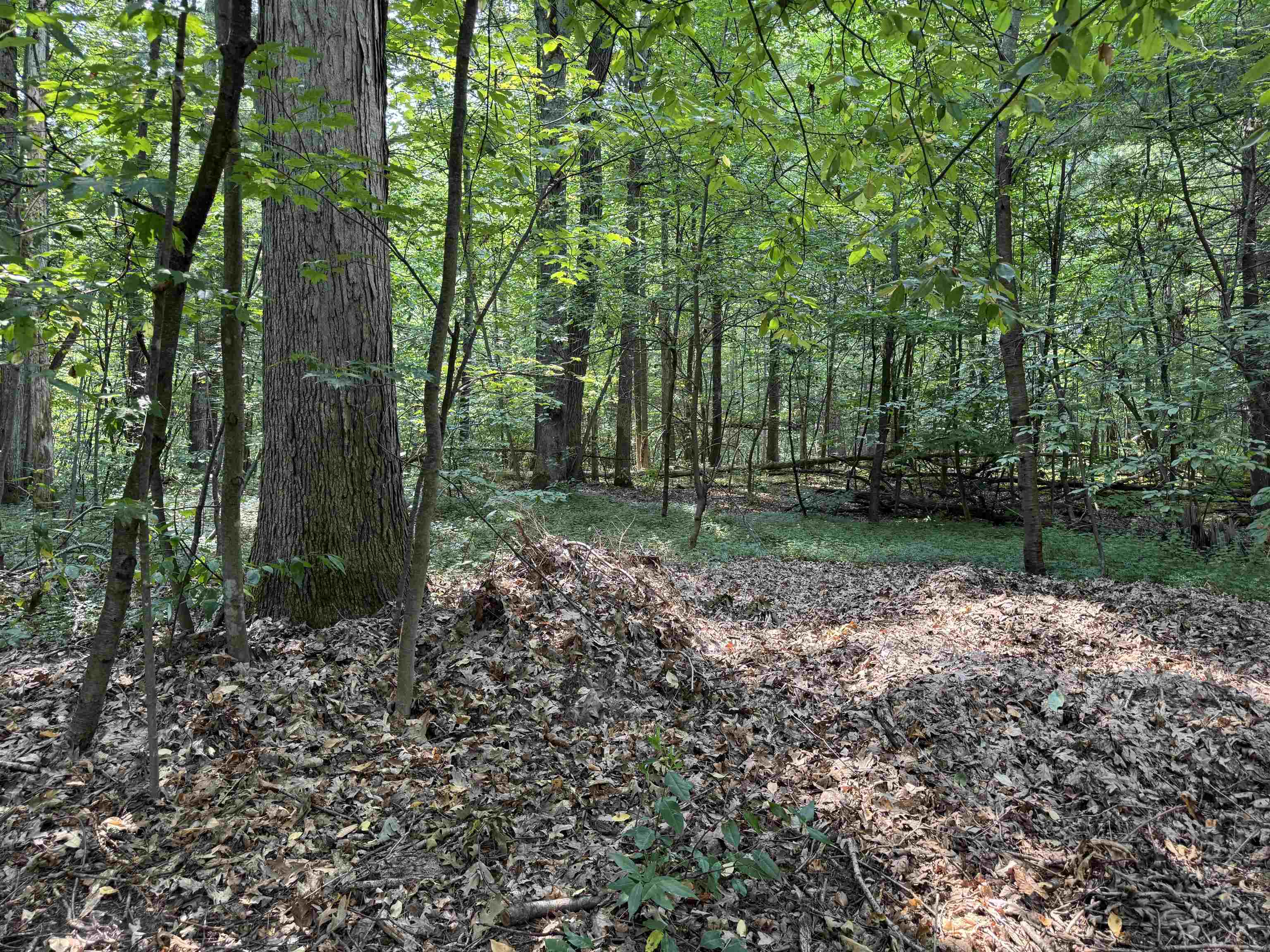 1386 S South Long Lake Road Property Photo 5