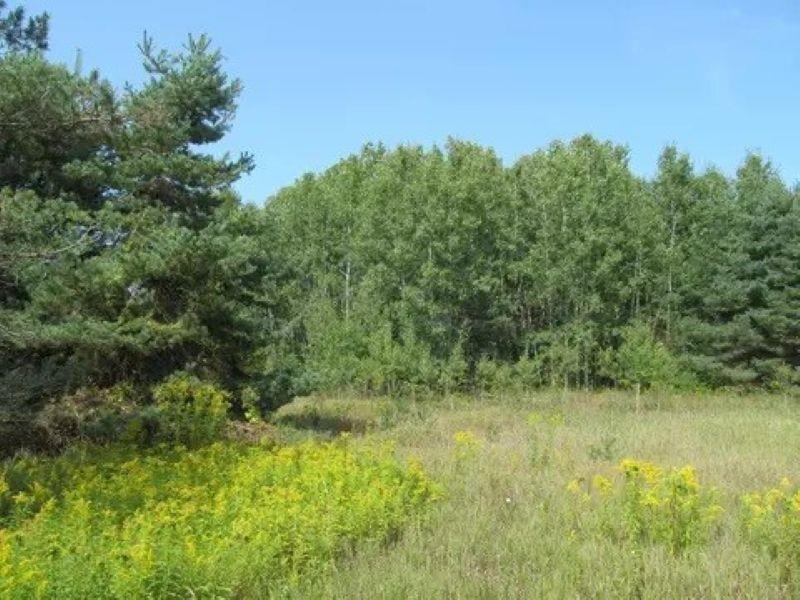 0 M-55 Property Photo 1