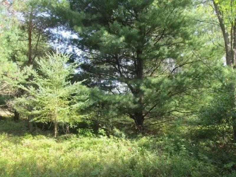 0 M-55 Property Photo 2