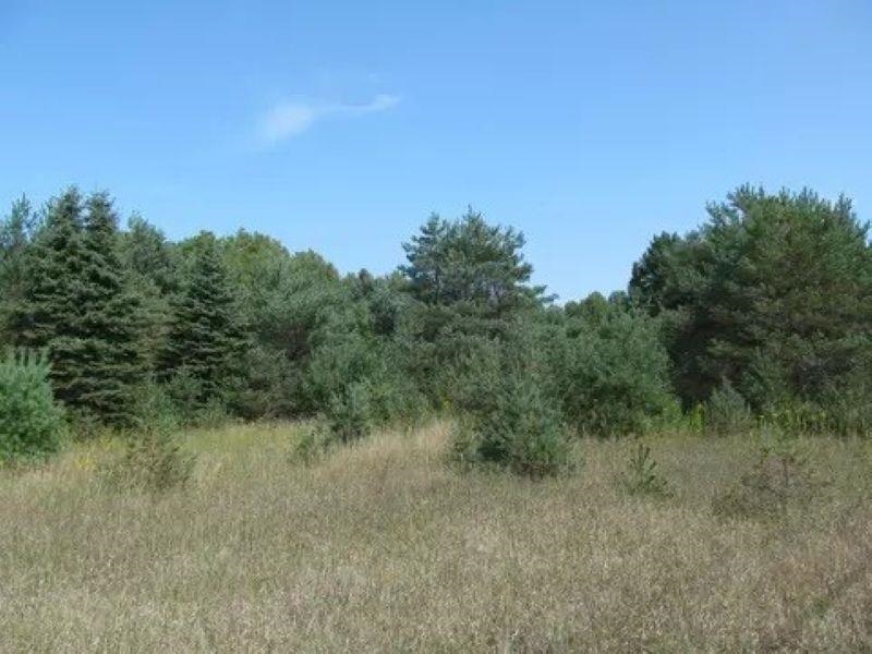 0 M-55 Property Photo 3