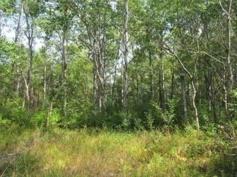 0 M-55 Property Photo 4