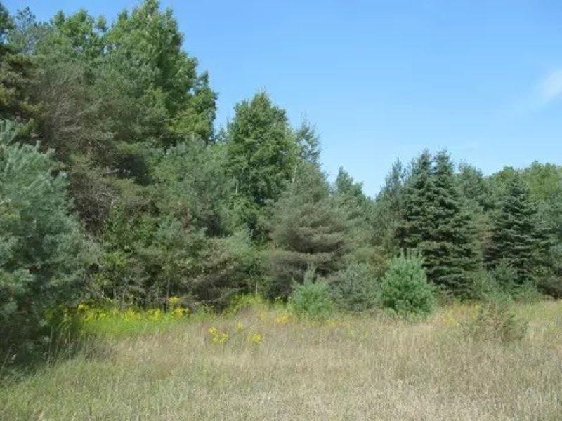 0 M-55 Property Photo 5
