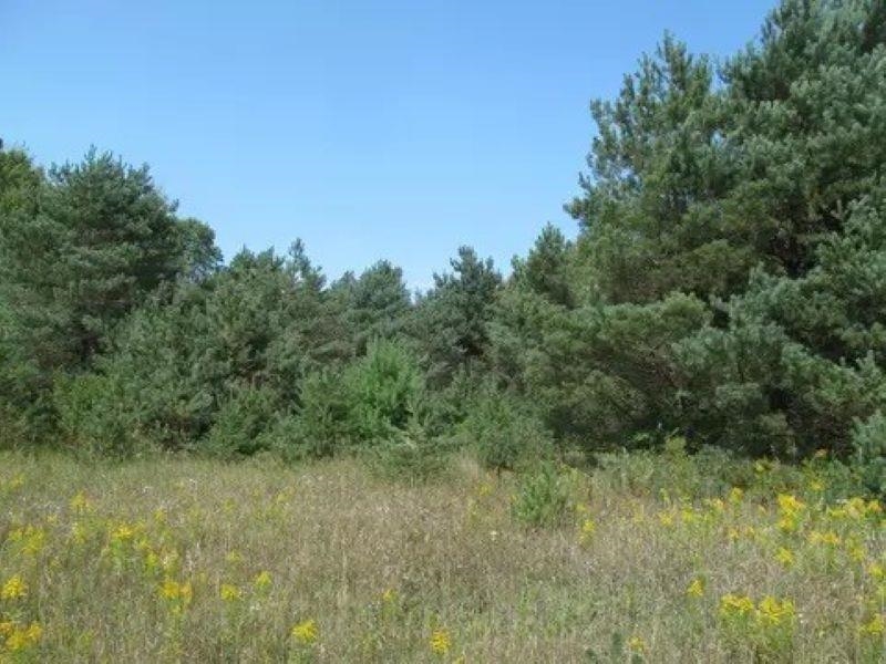 0 M-55 Property Photo 6